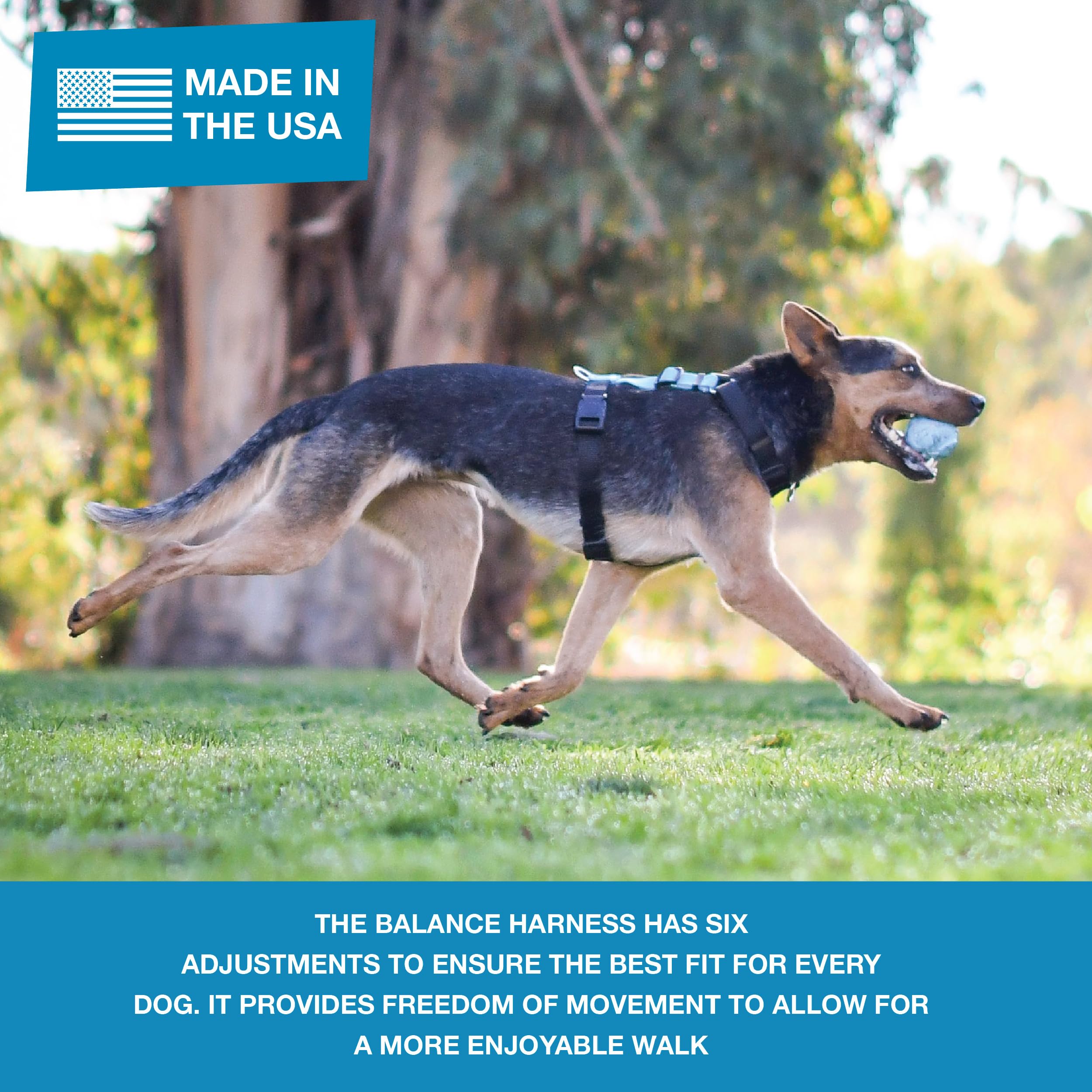 Blue-9 Pet Products No-Pull Balance Harness And Loose Leash Walking Set Dogs, Made In The Usa, Red, Large