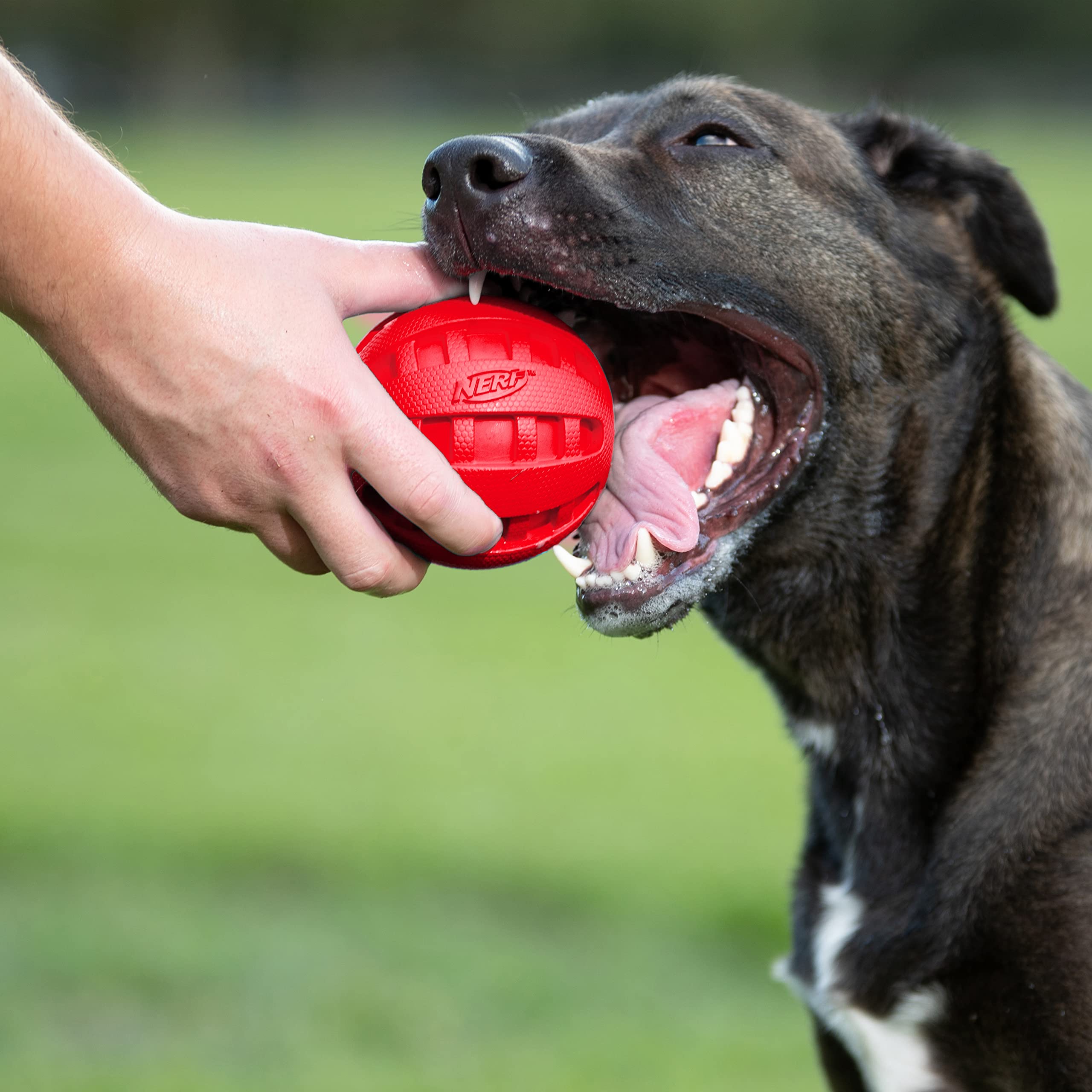 Nerf Dog Rubber Ball Dog Toy With Checkered Squeaker, Lightweight, Durable And Water Resistant, 4 Inch Diameter For Medium/Large Breeds, Single Unit, Red