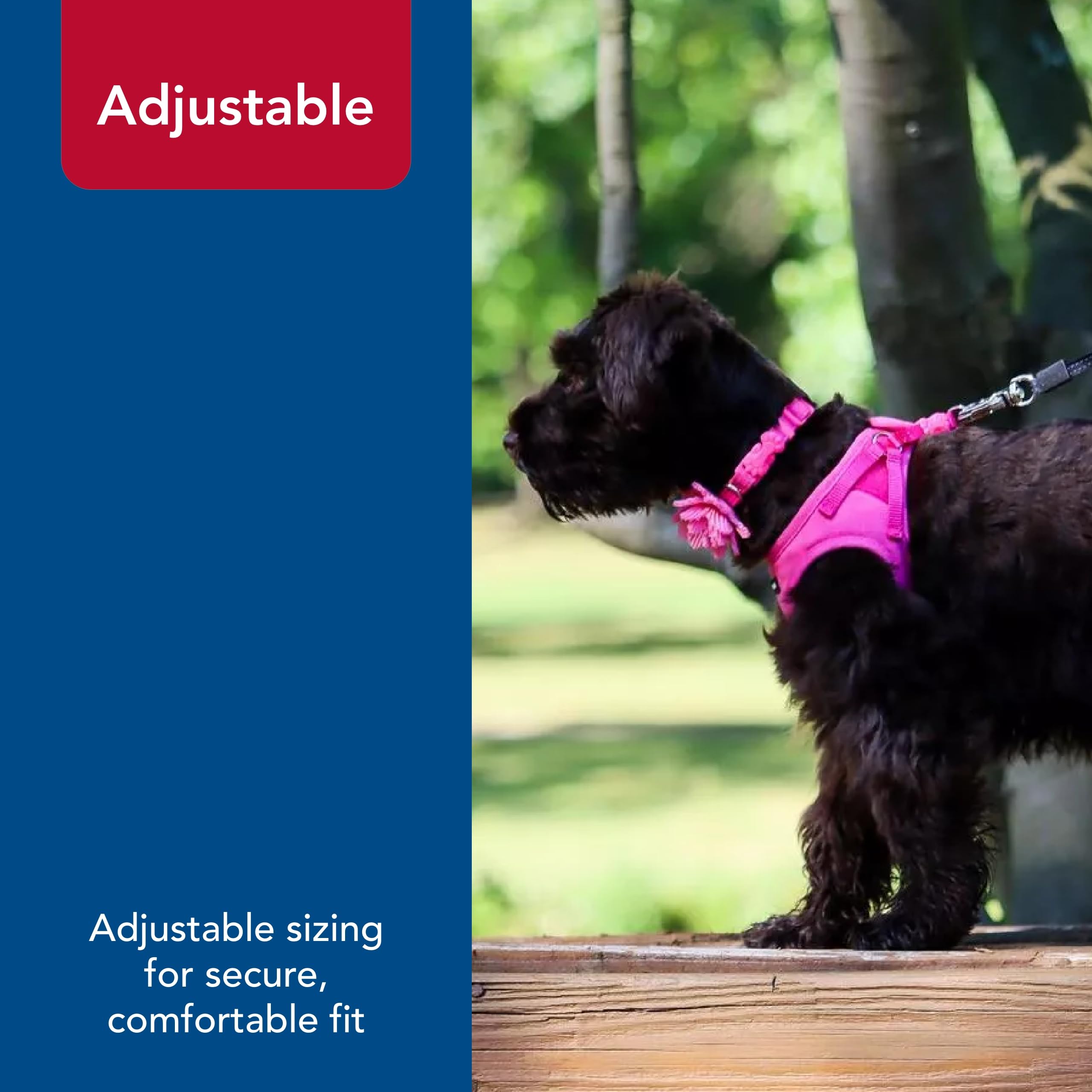 Coastal - Lil Pals Microfiber Dog Harness - Adjustable, Comfortable Design For Small Dogs - Black - 3/8    X 8-10