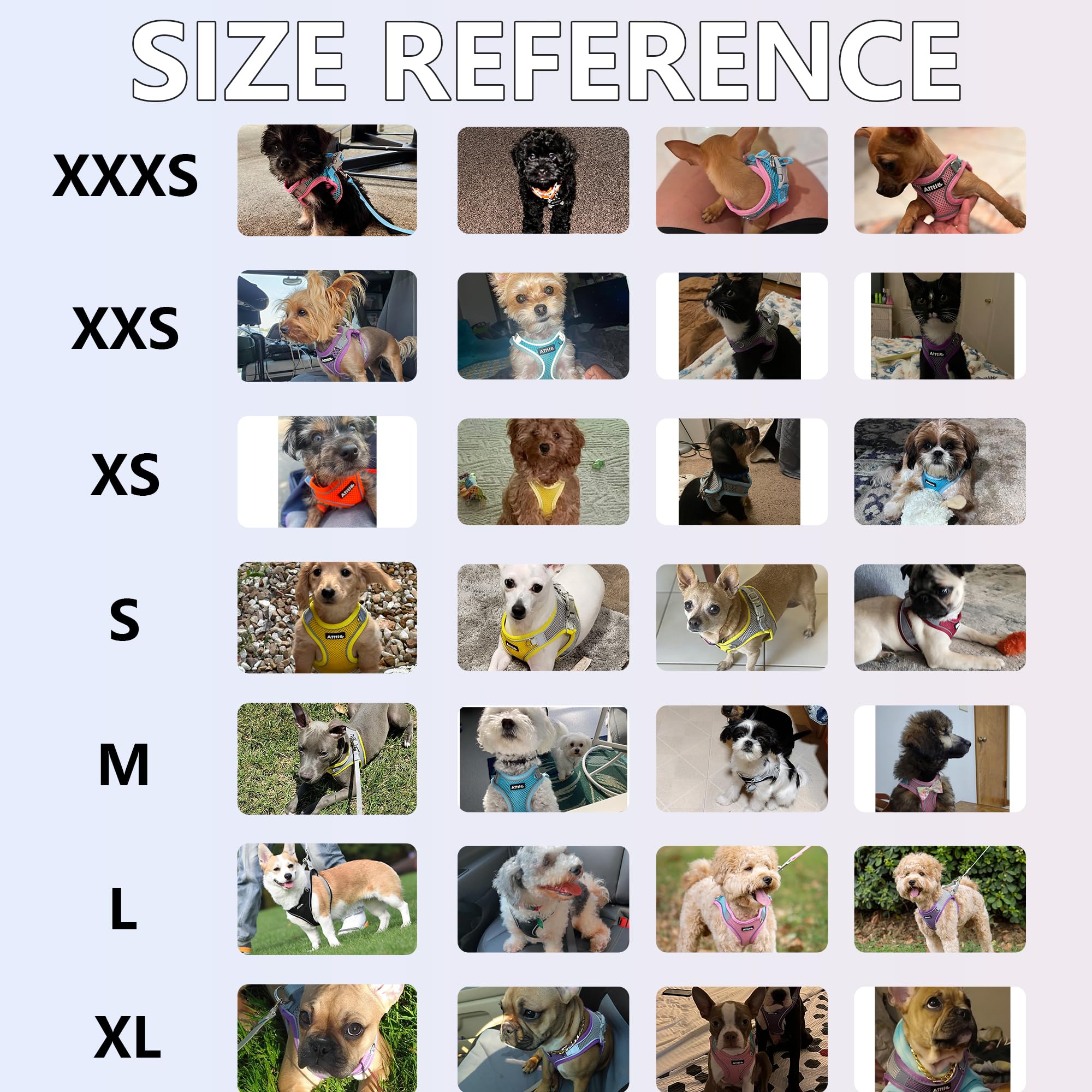 Aiitle Small Harness For Puppy With A Leash - Spring Dog Vest Harness With Super Breathable Mesh, Reflective No-Pull Pet Harness