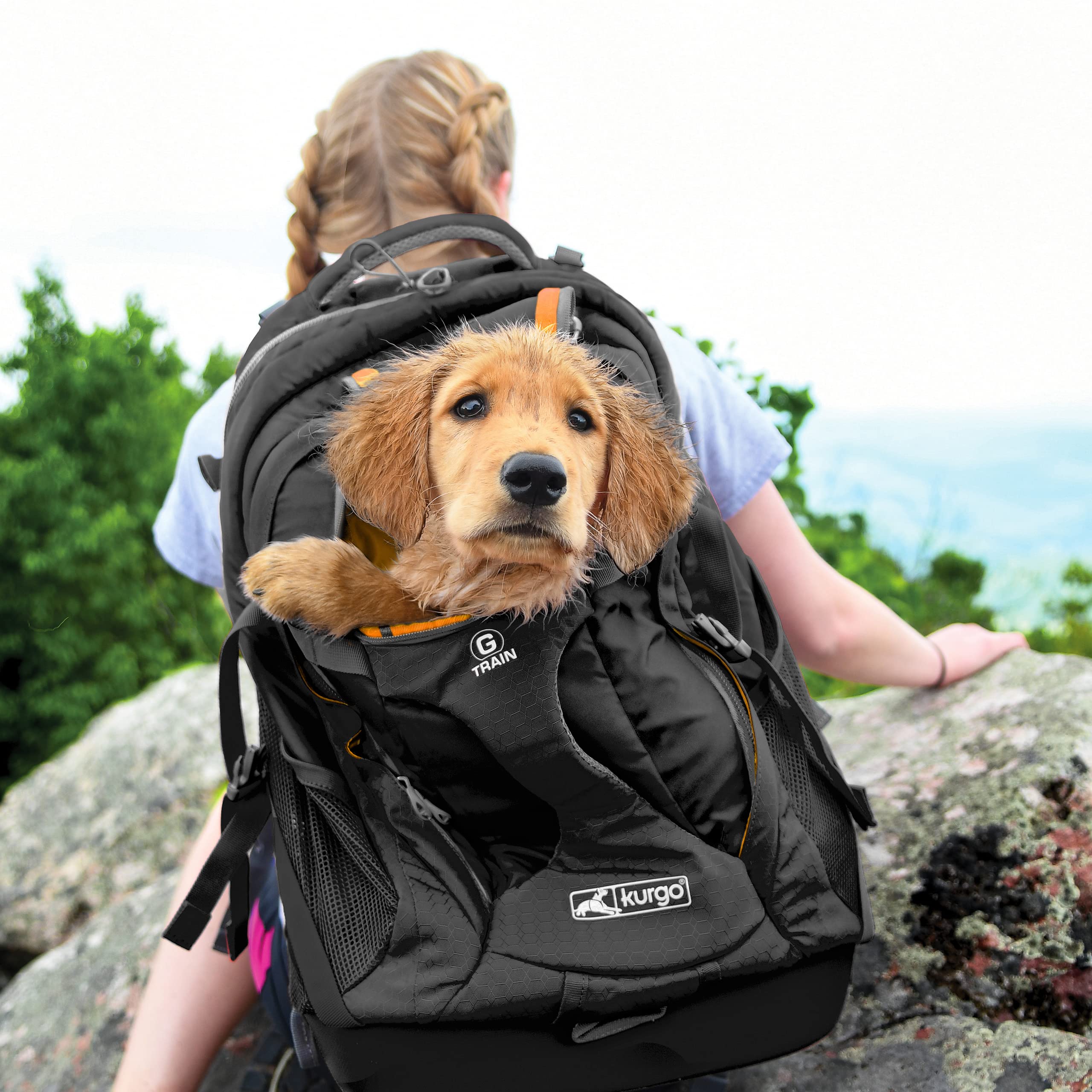 Kurgo G-Train - Dog Carrier Backpack For Small Pets - Cat & Dog Backpack For Hiking, Camping Or Travel - Chest Straps & Hip Belt - Reflective - Two Water Bottle Sleeves - Waterproof Bottom (Black)