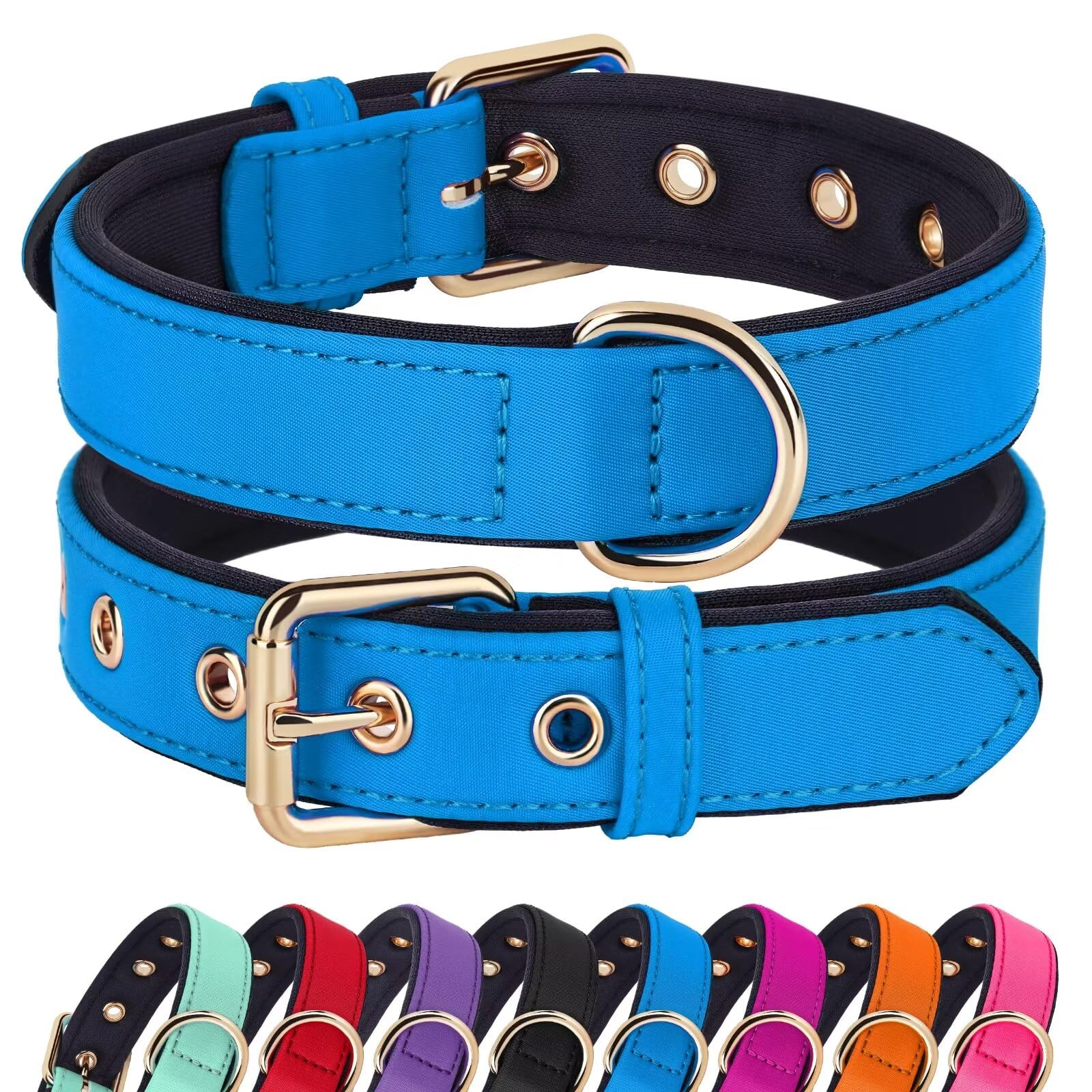 Didog Soft Padded Dog Collars For Small Dogs, Lightweight And Breathable Dog Collar Waterproof With Metal Buckle For Puppy, Blue