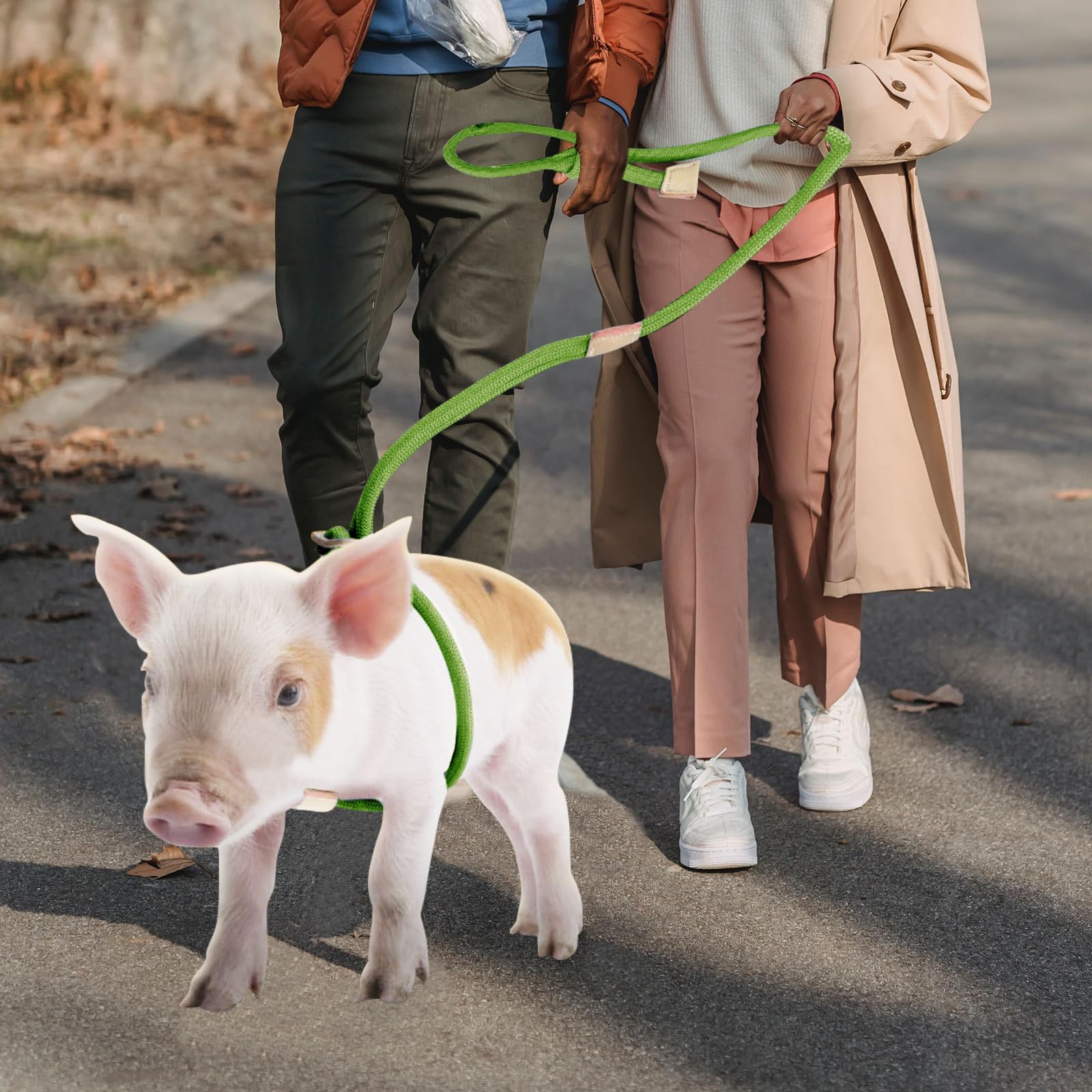Mini Pig Harness & Leash, Adjustable 8 Feet Long Rope For Small To Medium Pet Pigs