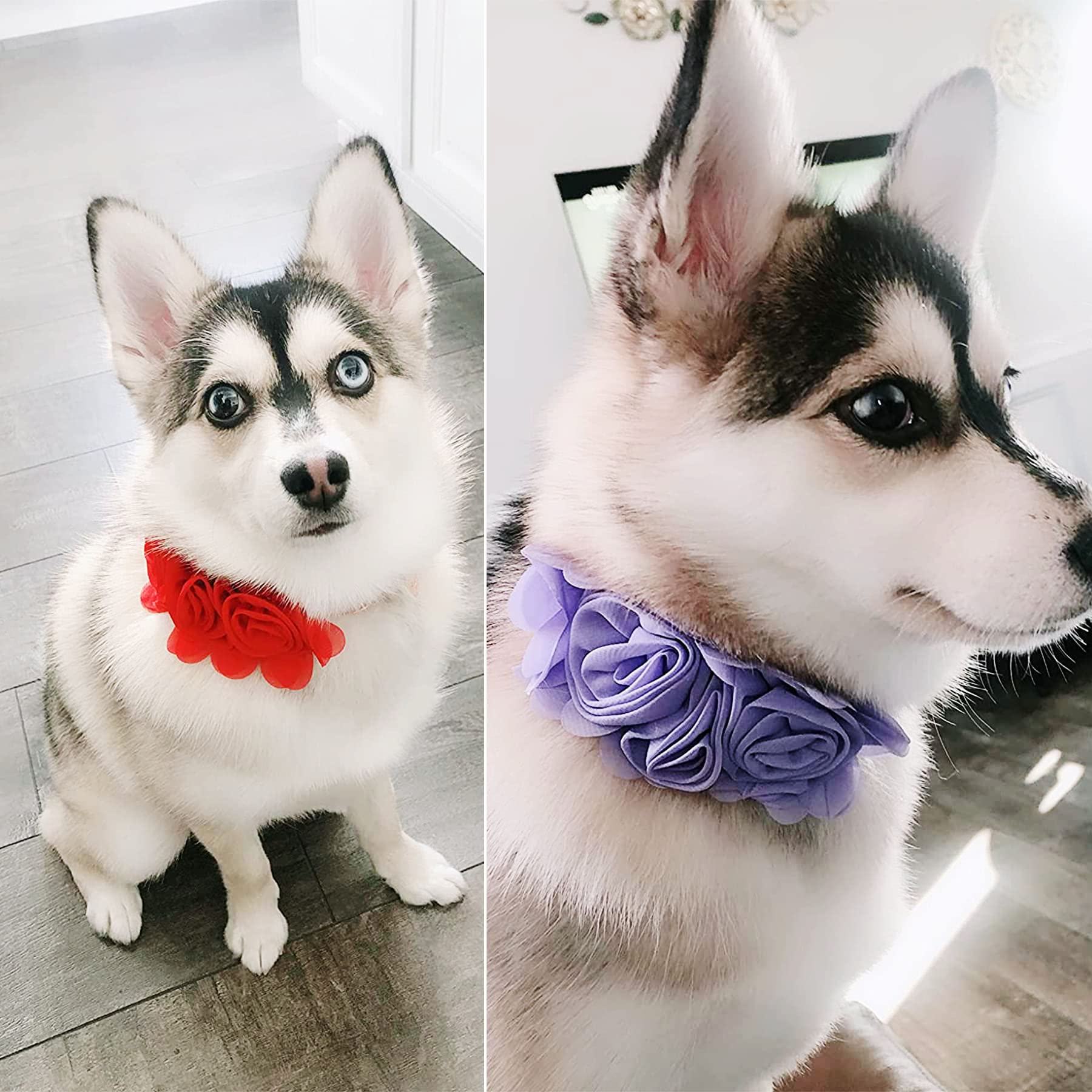 JpGdn 6pcs Dog Collar Flowers Pink Purple Yellow Puppy Collar Charms Multicolored for Small Medium Large Girl Boy Female Cat Kit