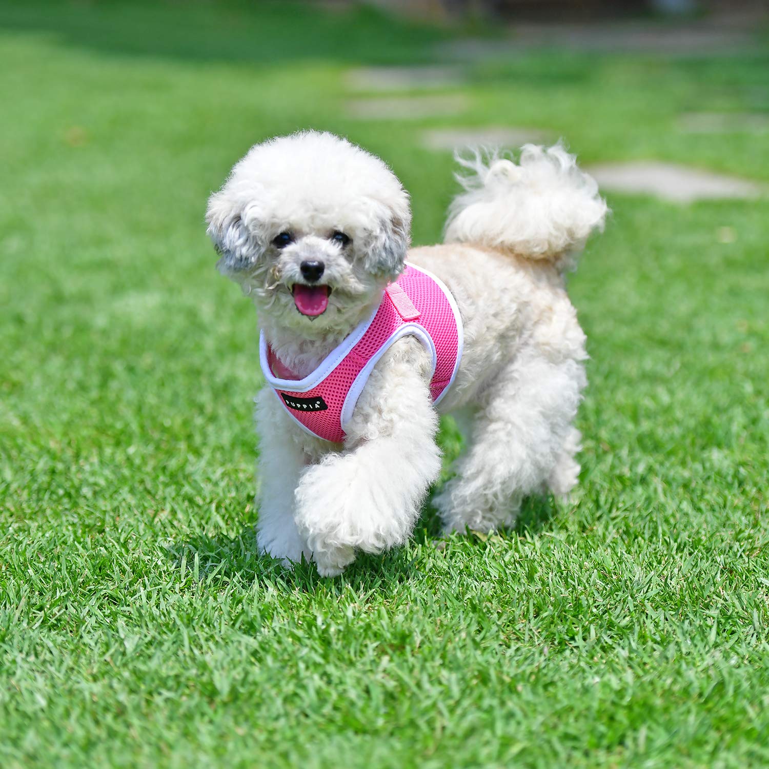 Puppia Soft Vest Harness B Ii - Pink - S