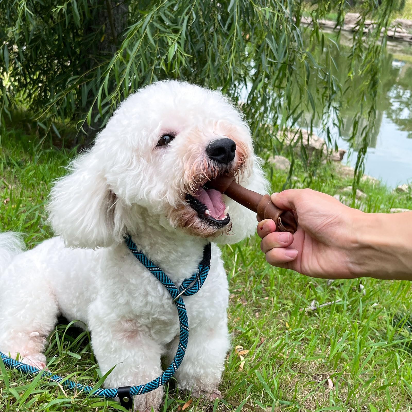 MON2SUN Rawhide Free Dog Treats, Peanut Butter Bones, 5 Inch 12 Count Chews for Small and Medium Dogs, Healthy Bones for Balance