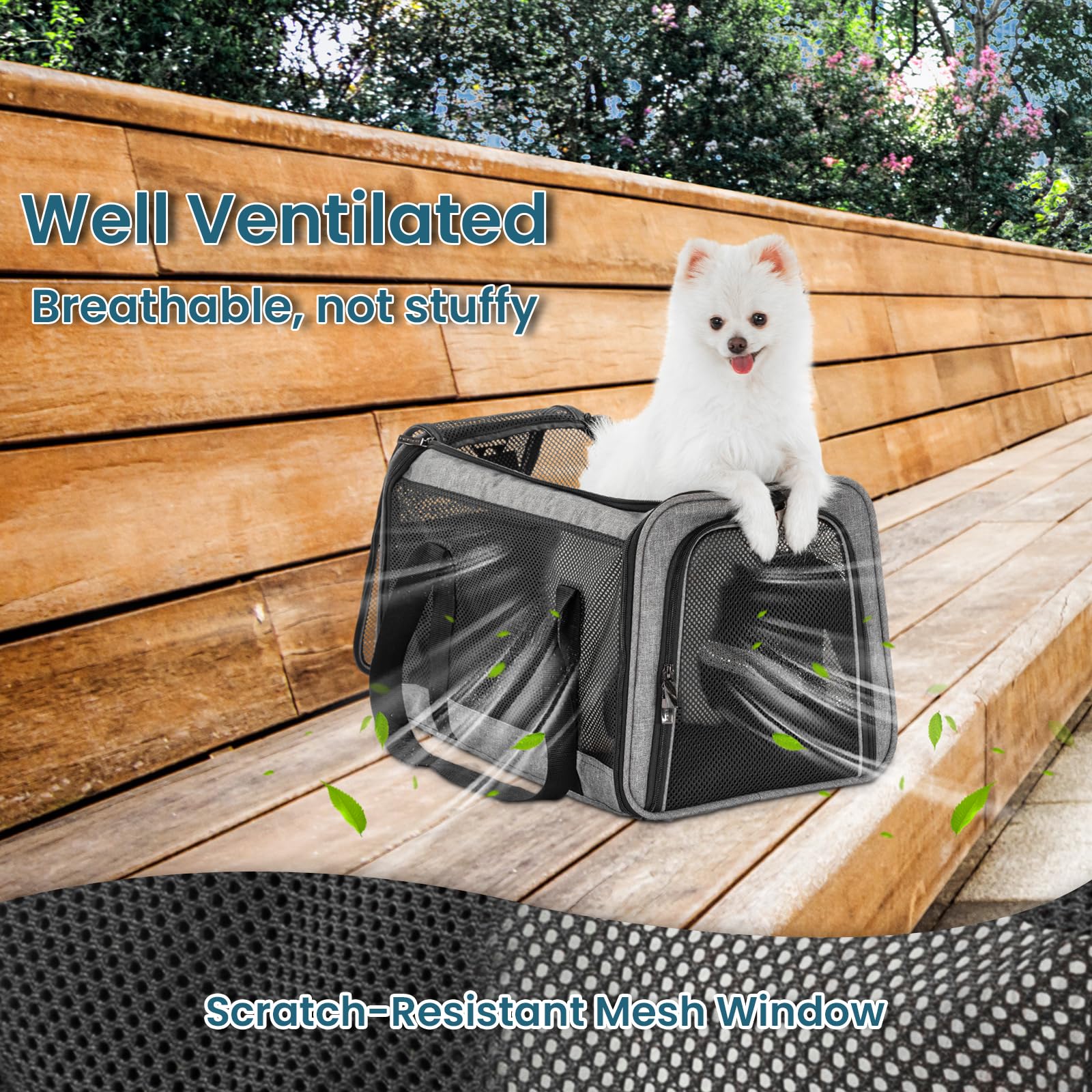 Petsfit Cat Carrier Small Dog Carrier, Lightweight Portable Soft Pet Carrier For Large And Medium Cats, 5-Sided Breathable Mesh,