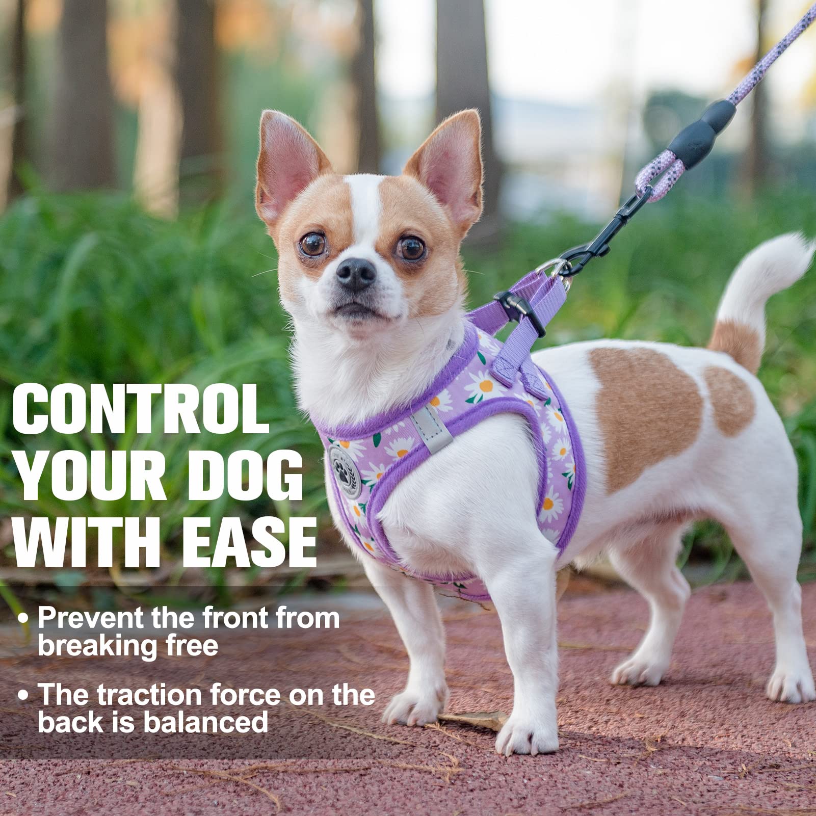 Beautyzoo Step In Dog Harness And Leash Set, Floral Pattern Reflective Dog Harness No Pull No Choke Puppy Harness For Xxs Xs S Dogs Cats, Soft Padded Mesh Vest Harnesses For Girl And Boy Pets