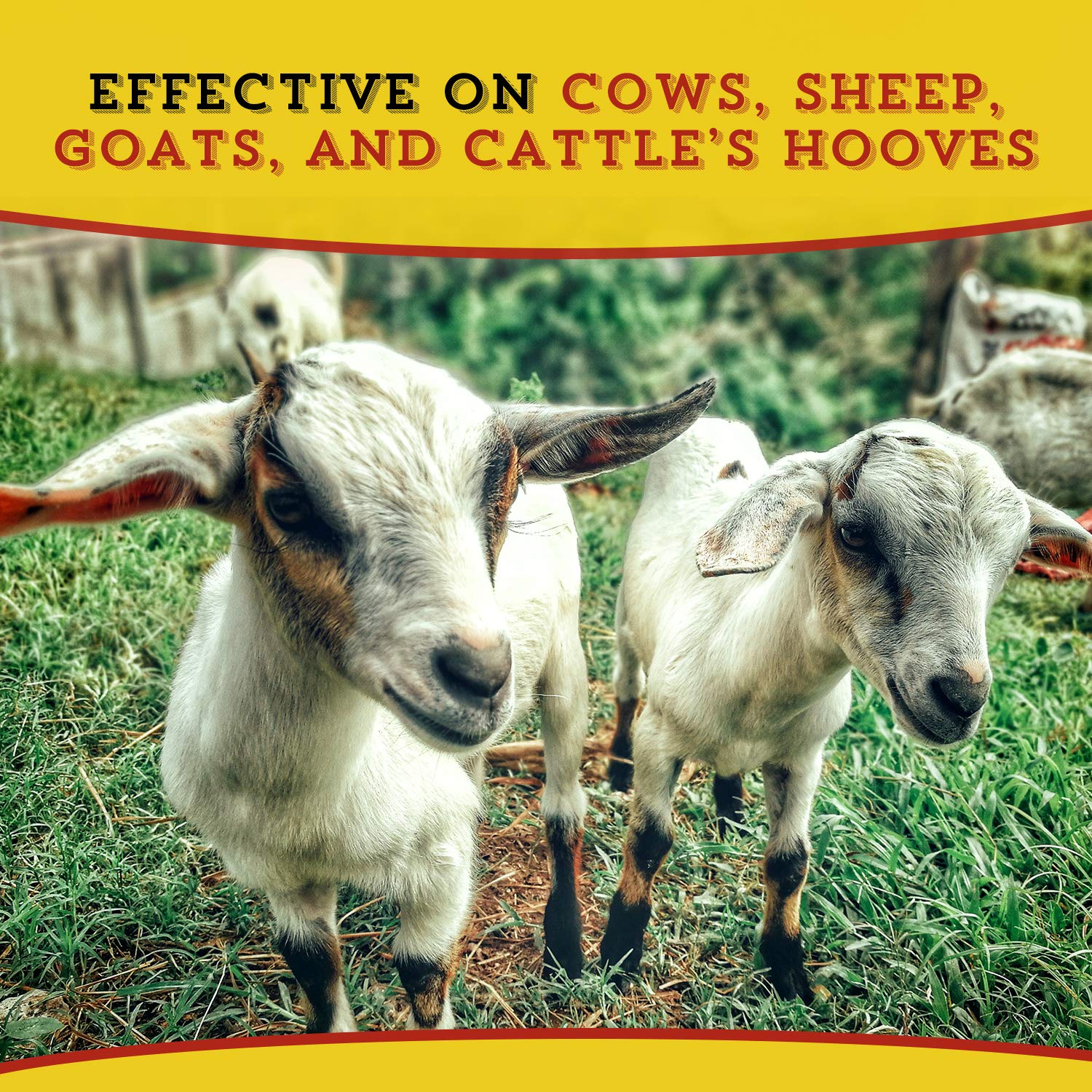 Dr. Naylor Hoof N Heal, Hoof Rot Foot Rot Wound Care, 16oz, Sheep Goat Cow Horse, 1-pack