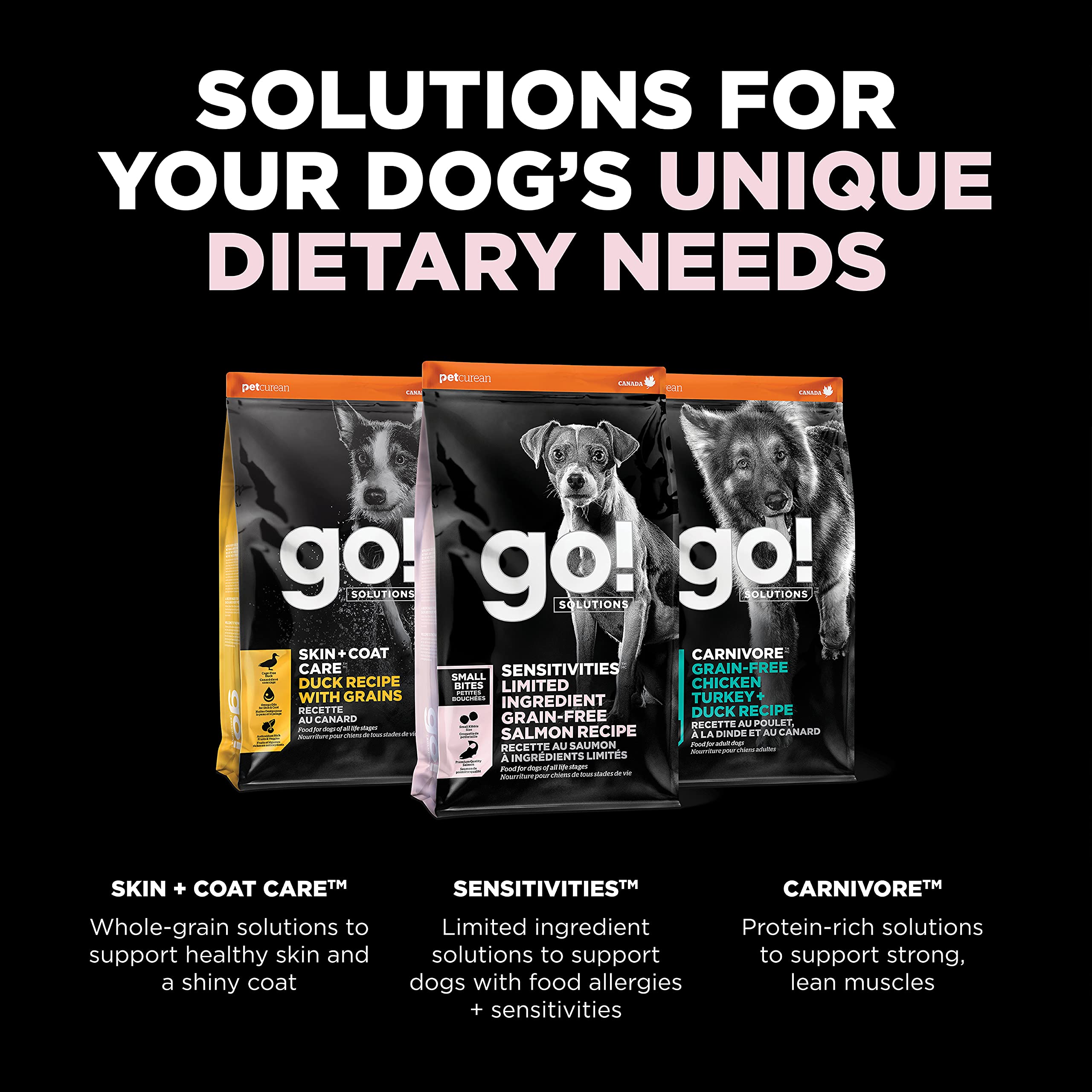 Go! Solutions Sensitivities Limited Ingredients, Grain-Free Dry Dog Food, Small Bites Salmon Recipe for Sensitive Stomach, 22 lb
