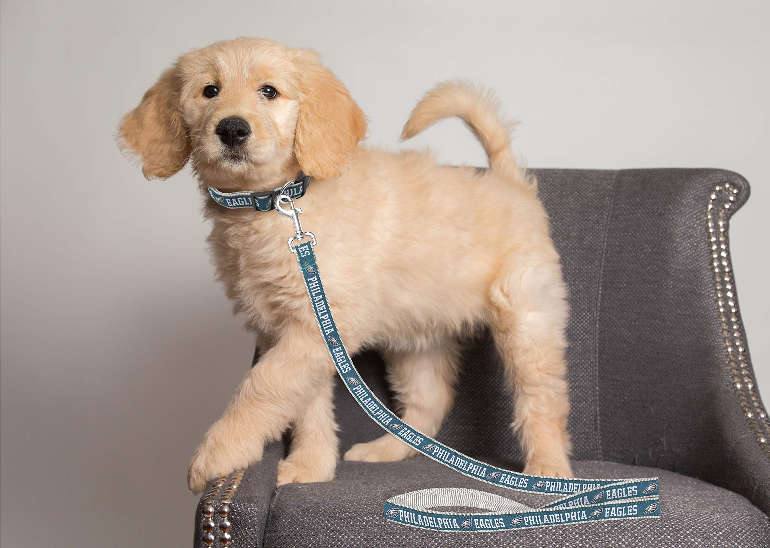 Nfl Pet Leash, Medium, Philadelphia Eagles Dog Leash, Football Team Leash For Dogs & Cats. A Shiny & Colorful Dog & Cat Leash With Embroidered Team Name/Logo Licensed By The Nfl