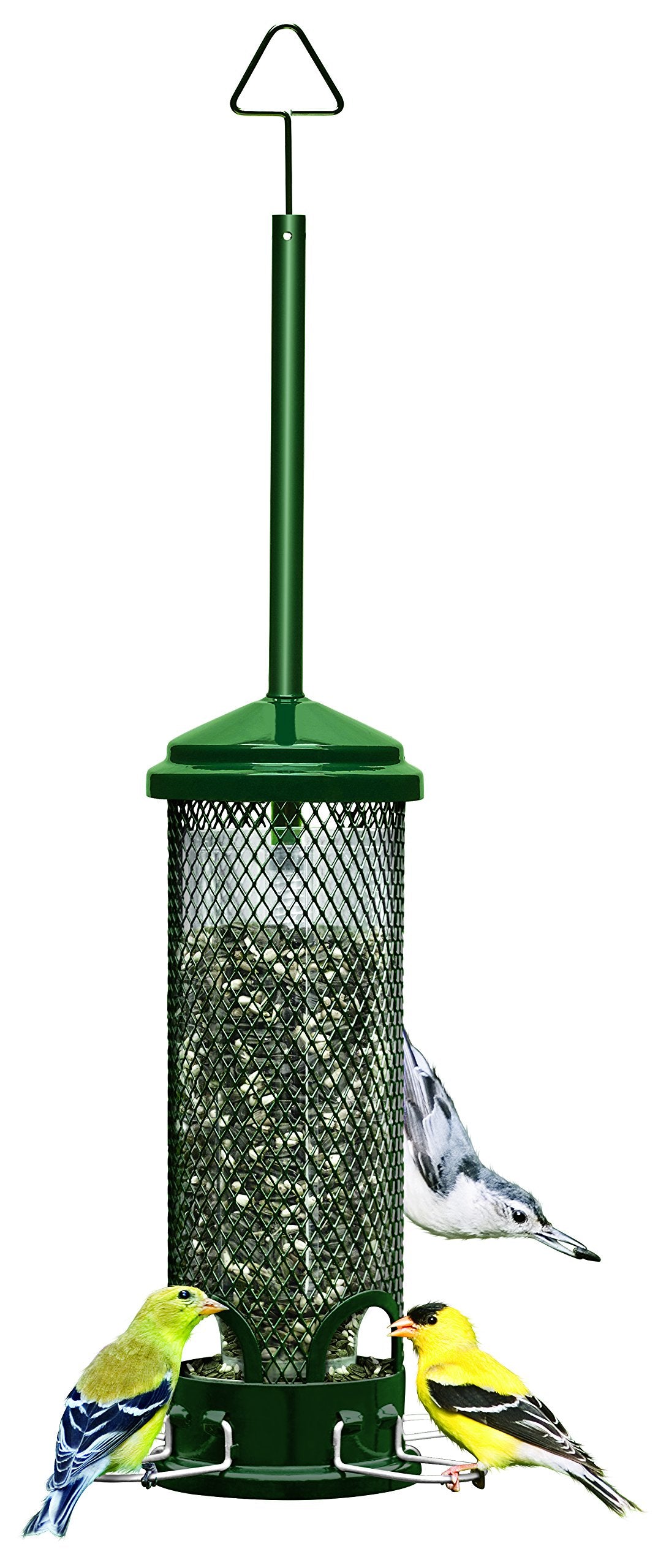 Squirrel Buster Mini Squirrel-proof Bird Feeder w/4 Metal Perches, 1.3lbs Seed Capacity, garden green