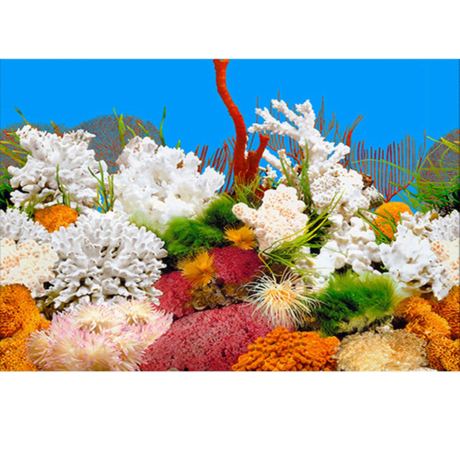ELEBOX New 23 x 71 Fish Tank Background 2 Sided River Bed & Lake Background Aquarium