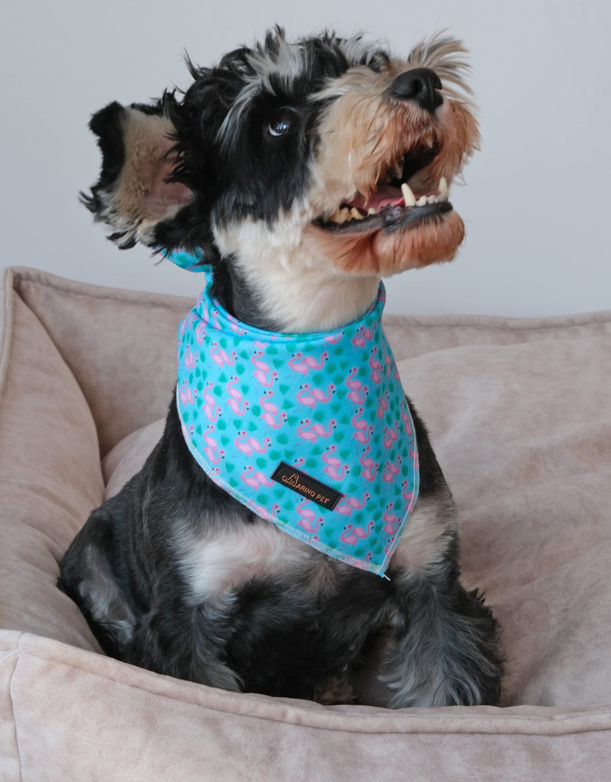 Aring Pet Summer Dog Bandana-Adorable Flamingo Dog Bandanas, Soft Comfortable Dogs Triangle Bibs For Small To Large Boy Girl Dog