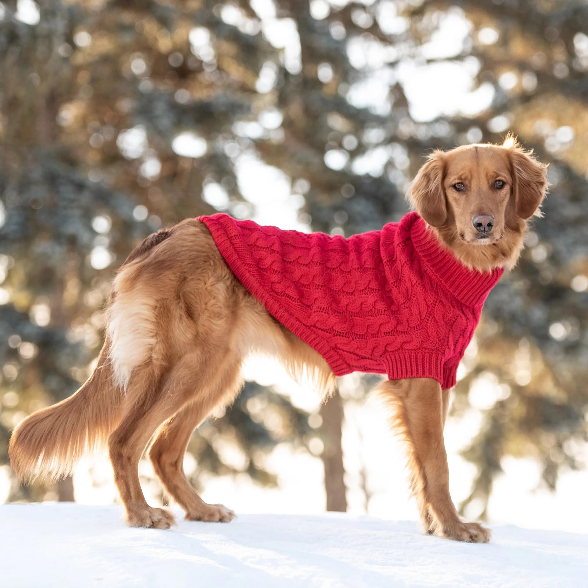 Gf Pet Chalet Cable Knit Dog Sweater - Snuggly Turtleneck Pullover For Small Medium Large Dogs | Chunky Knit Stretch Fit | Soft Ribbed Acrylic | Multi-Knit Doggy Sweaters - Red - 2X Large