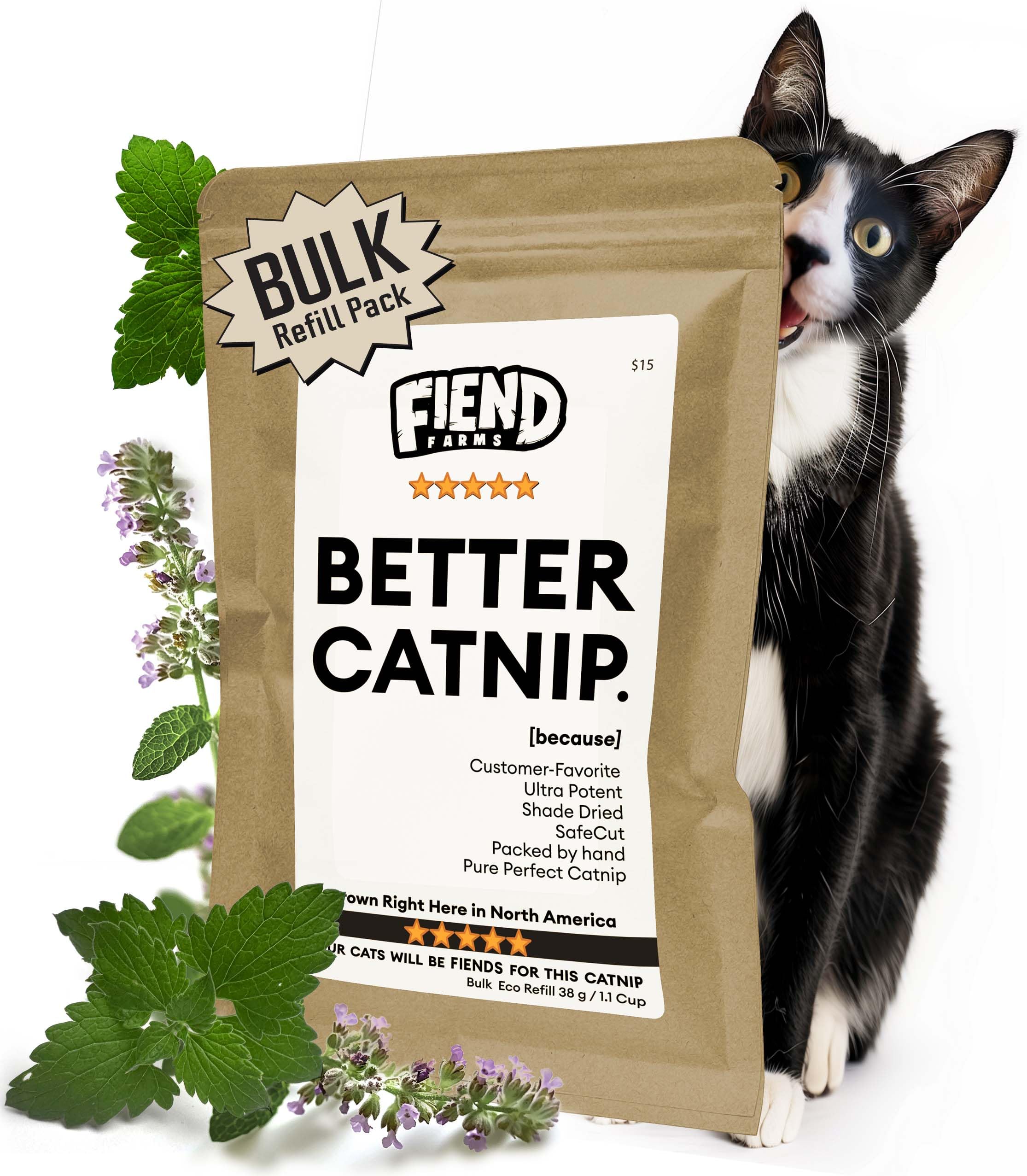 Fiend Catnip Safety-Cut 100% Pure Potent Fine Cat Nip for Cats & Kittens - Bulk Refill Rescue Pack 1? Cup (38g) - Ultra Potent, 