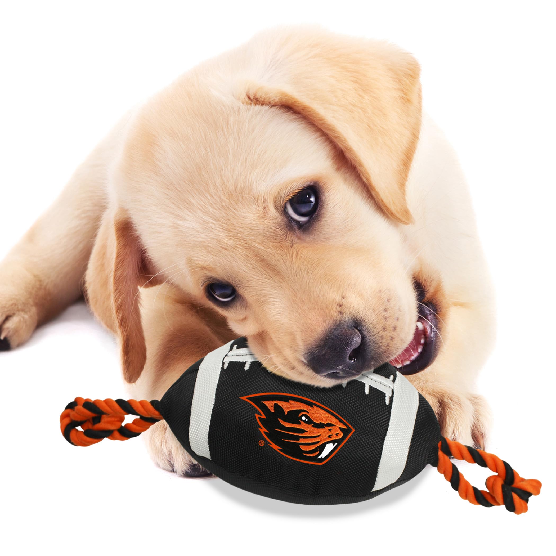 Pets First ORS-3121 Oregon State Nylon Football