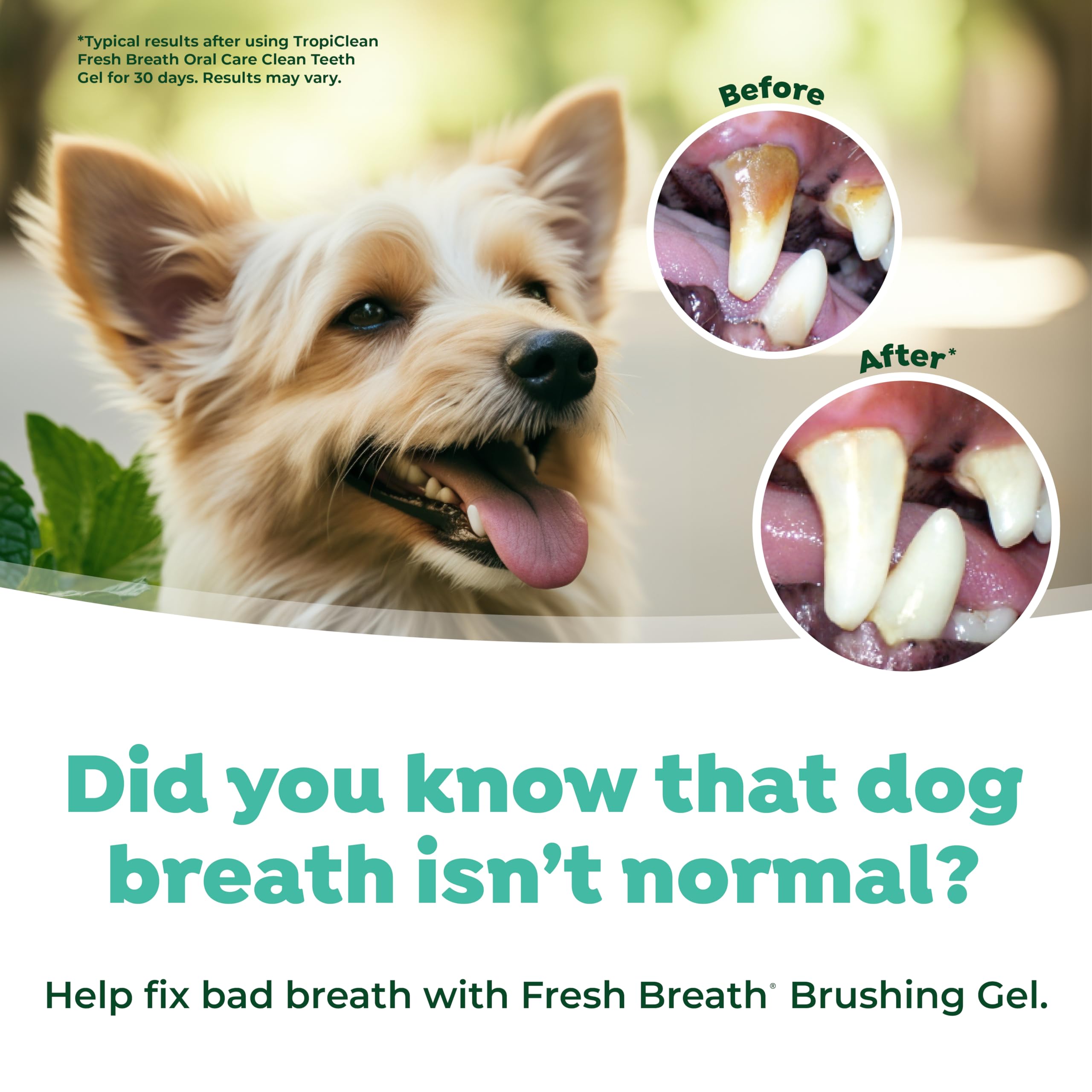 TropiClean Oral Care Brushing Gel for Dogs & Cats| Dog Toothpaste | Pet Dental Gel | Dog Teeth Cleaning Use with Pet Toothbrush