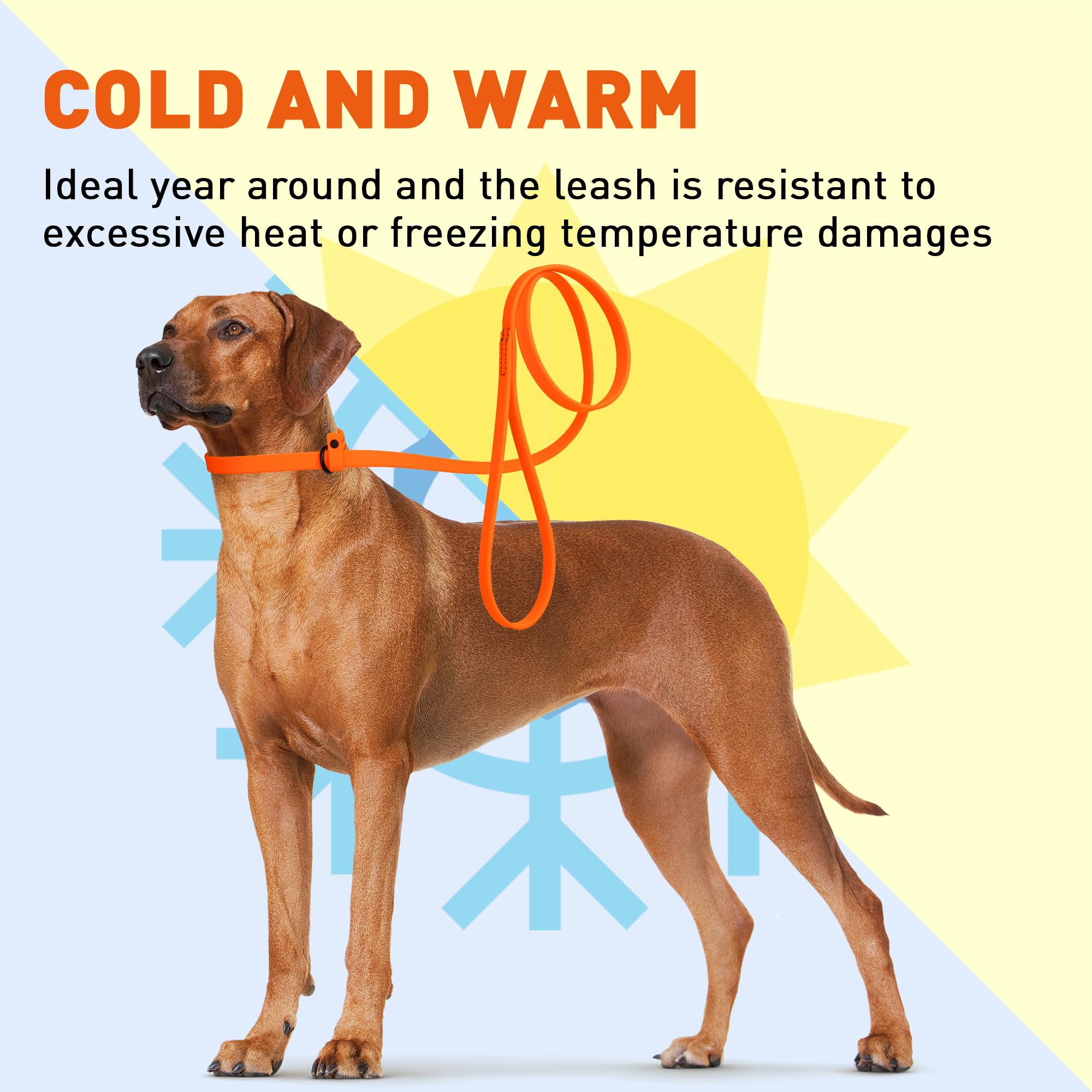 Dogline Biothane Slip Dog Leash - For Small, Medium And Large Dogs - Odor Free Slip Lead, Heavy Duty And Durable Material Kennel Lead - Hunter Orange - 5Ft L X 3/8In W