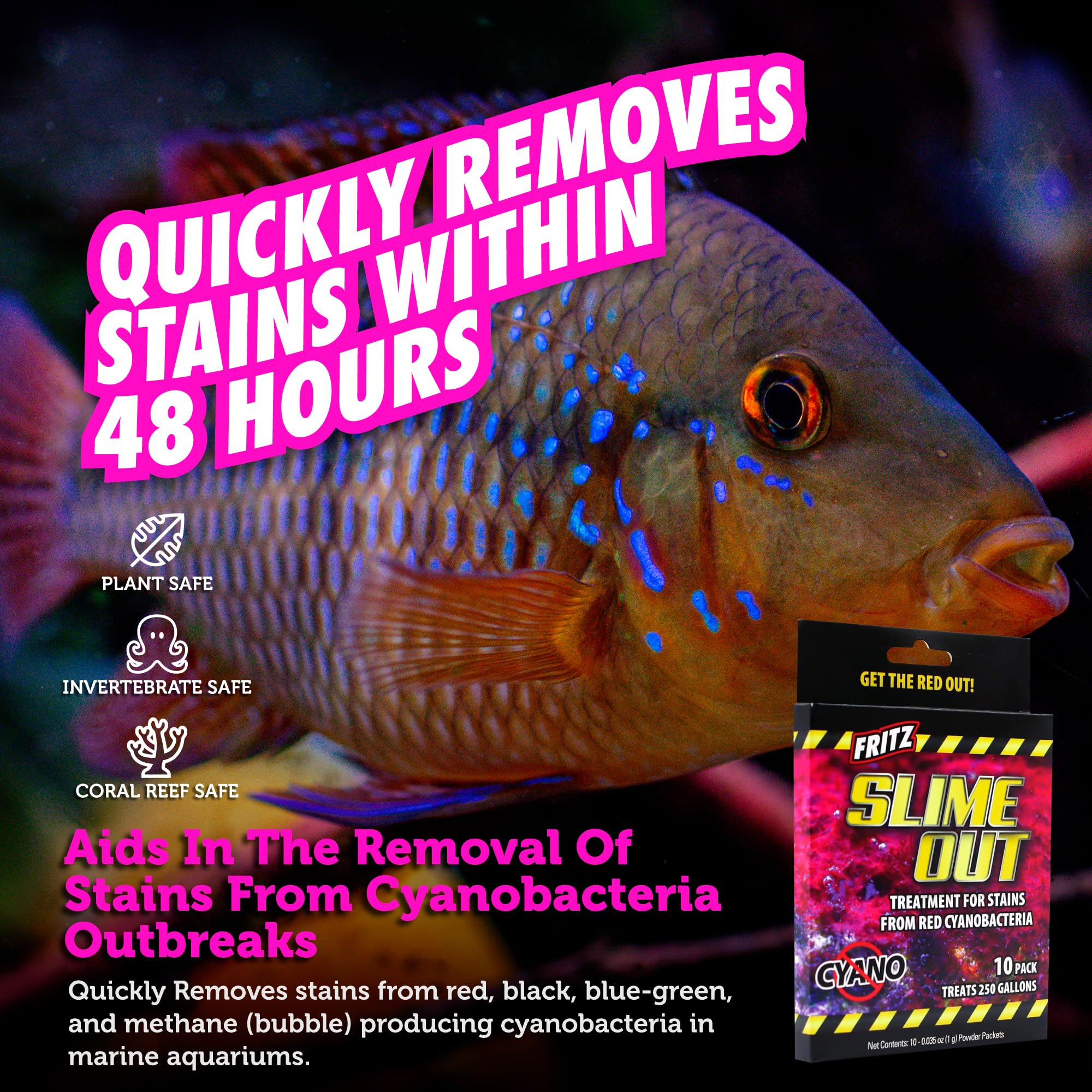 Fritz Aquatics Slime Out Treatment for Stains from Red Cyanobacteria in Fresh or Saltwater Aquariums (10-Count)