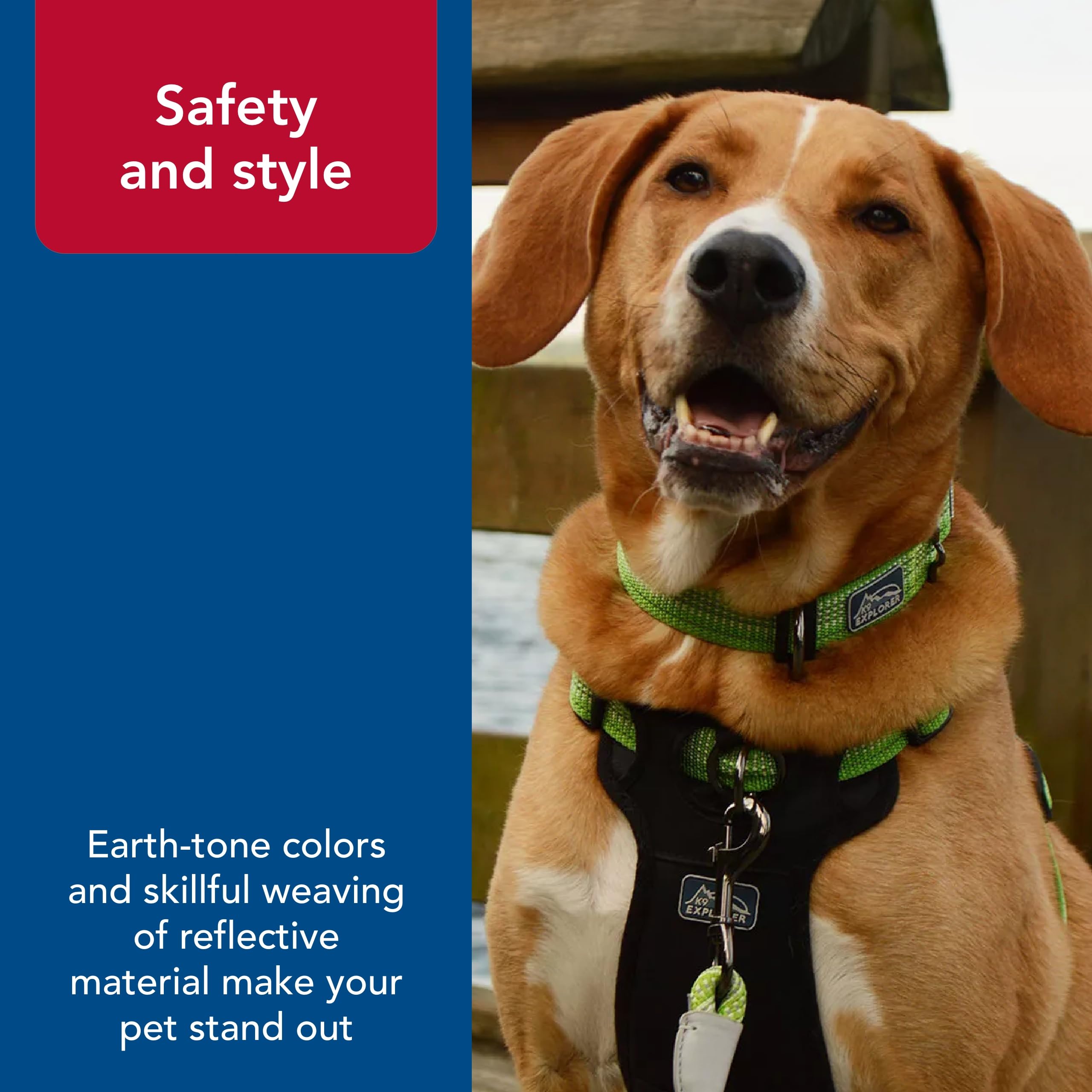 Coastal Pet - K-9 Explorer - Brights Reflective Adjustable Dog Collar, Meadow, 5/8'' x 08''-12''