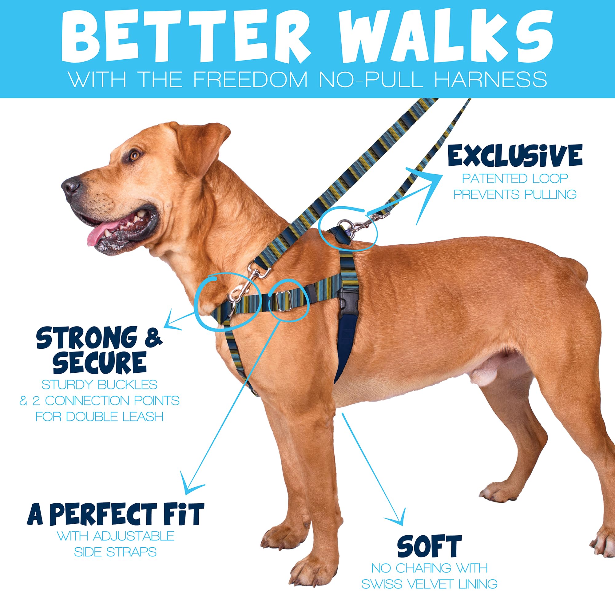 2 Hounds Design - Freedom No-Pull Harness & Training Leash In Blue And Green | Dual Leash Loops, No Pulling On Walks | Lined To