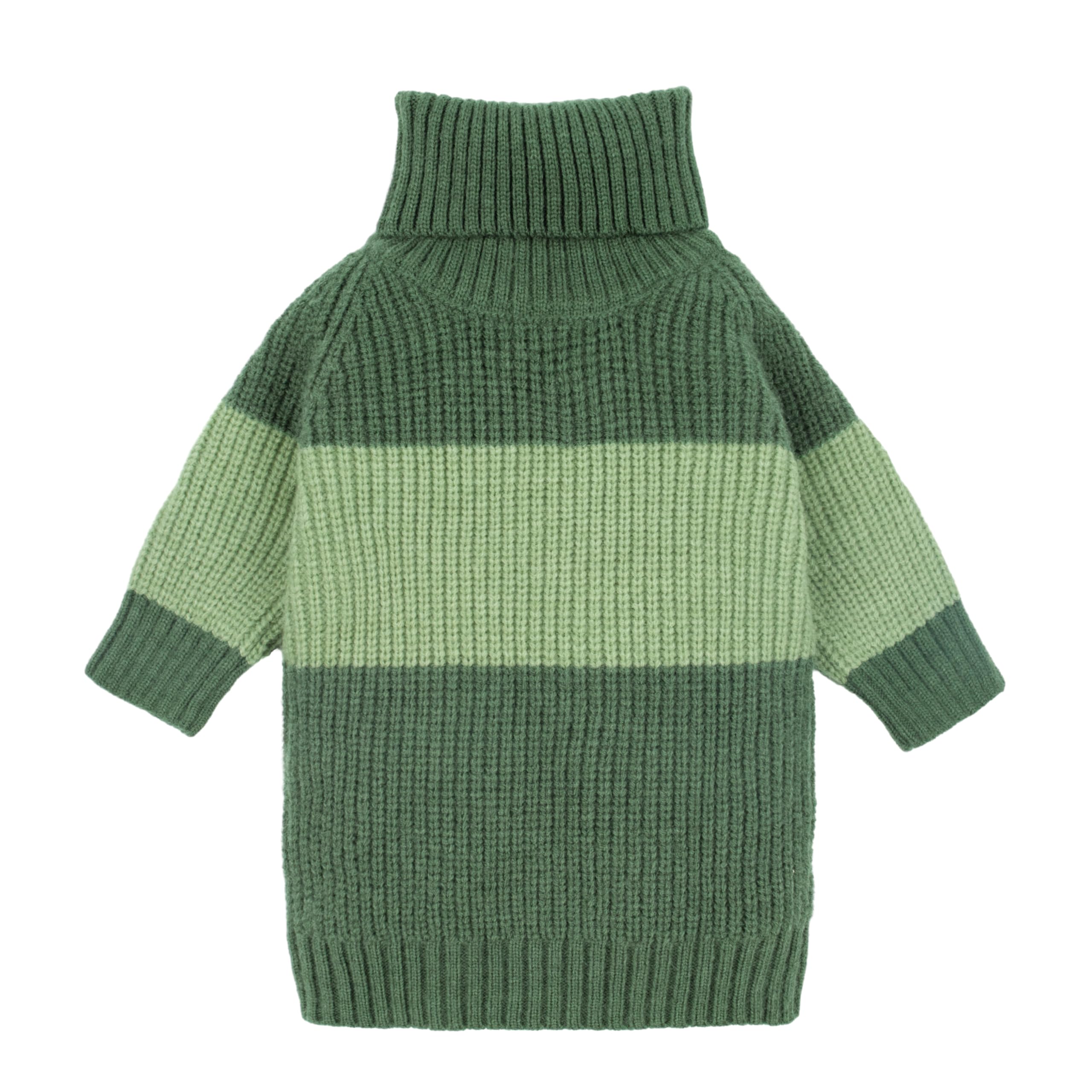 Fitwarm Color Block Turtleneck Dog Sweater, Thermal Dog Winter Clothes For Small Dogs Boy Girl, Pet Outfit, Dark Green, Mint Gre