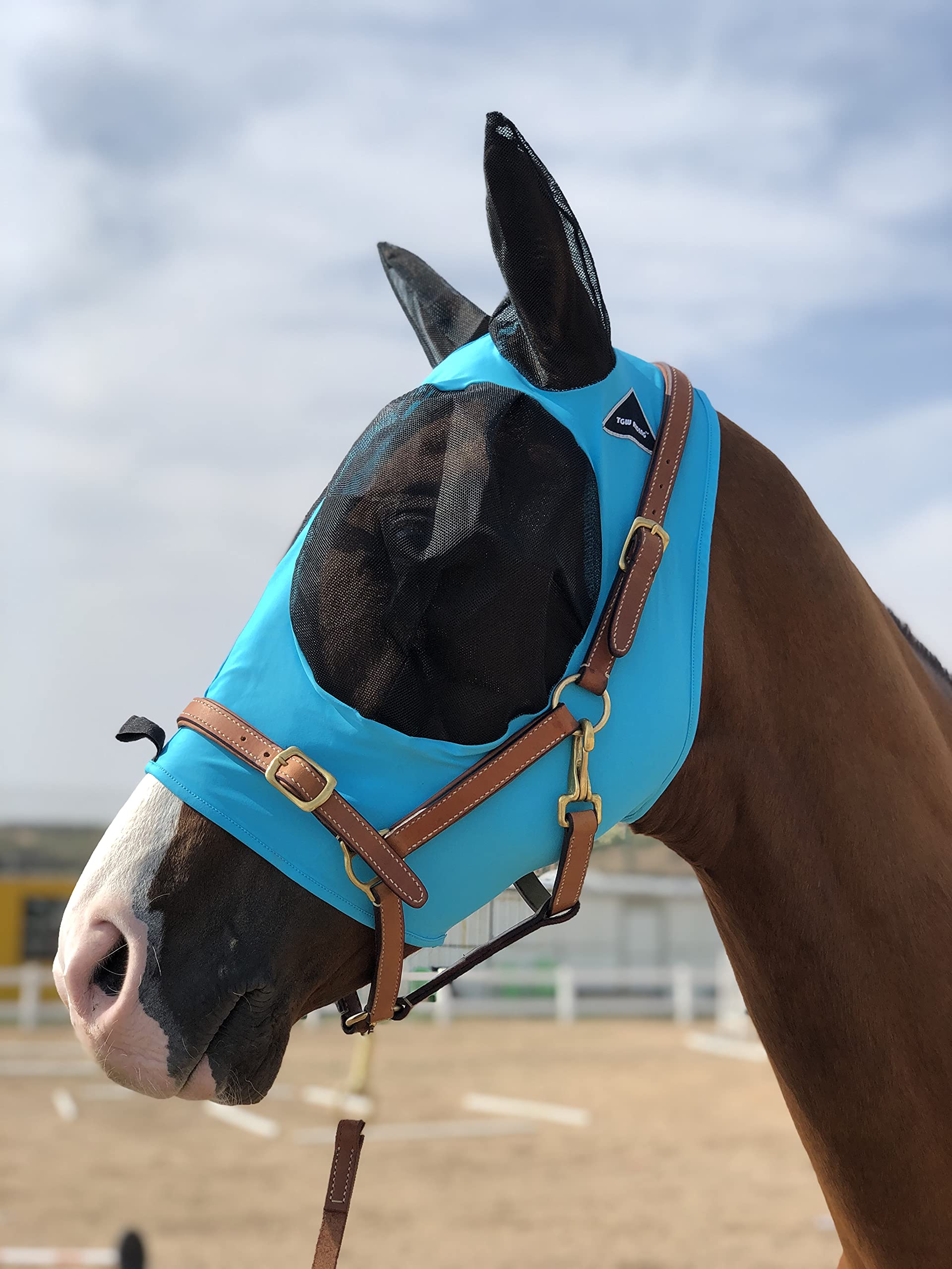 Horse Fly Mask Super Comfort Horse Fly Mask Elasticity Fly Mask with Ears We Only Make Products That Horses Like (Pacific Blue,