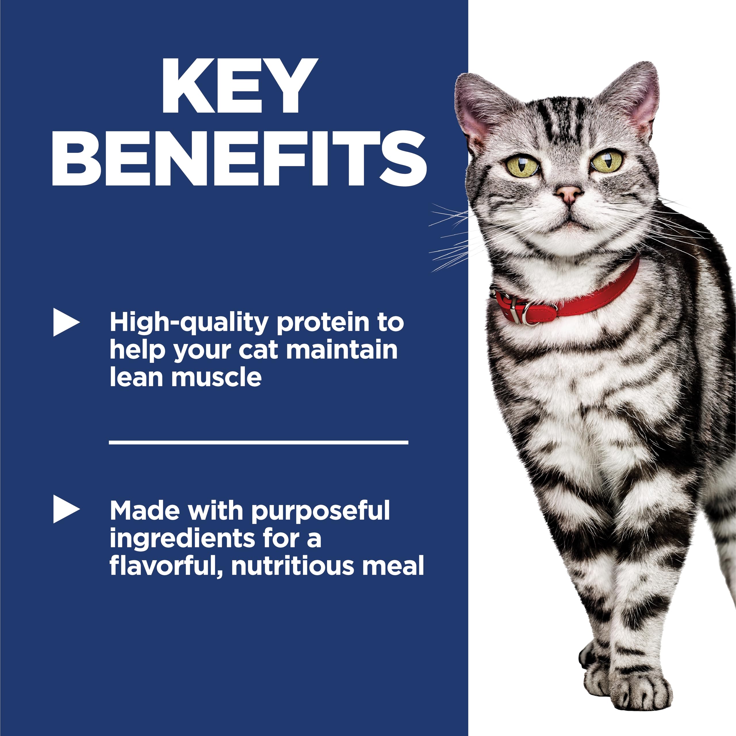 Hills Science Diet Indoor, Adult 1-6, Easy Litter Box Cleanup, Wet Cat Food, Salmon & Vegetables Stew, 2.8 oz Pouch, Case of 24