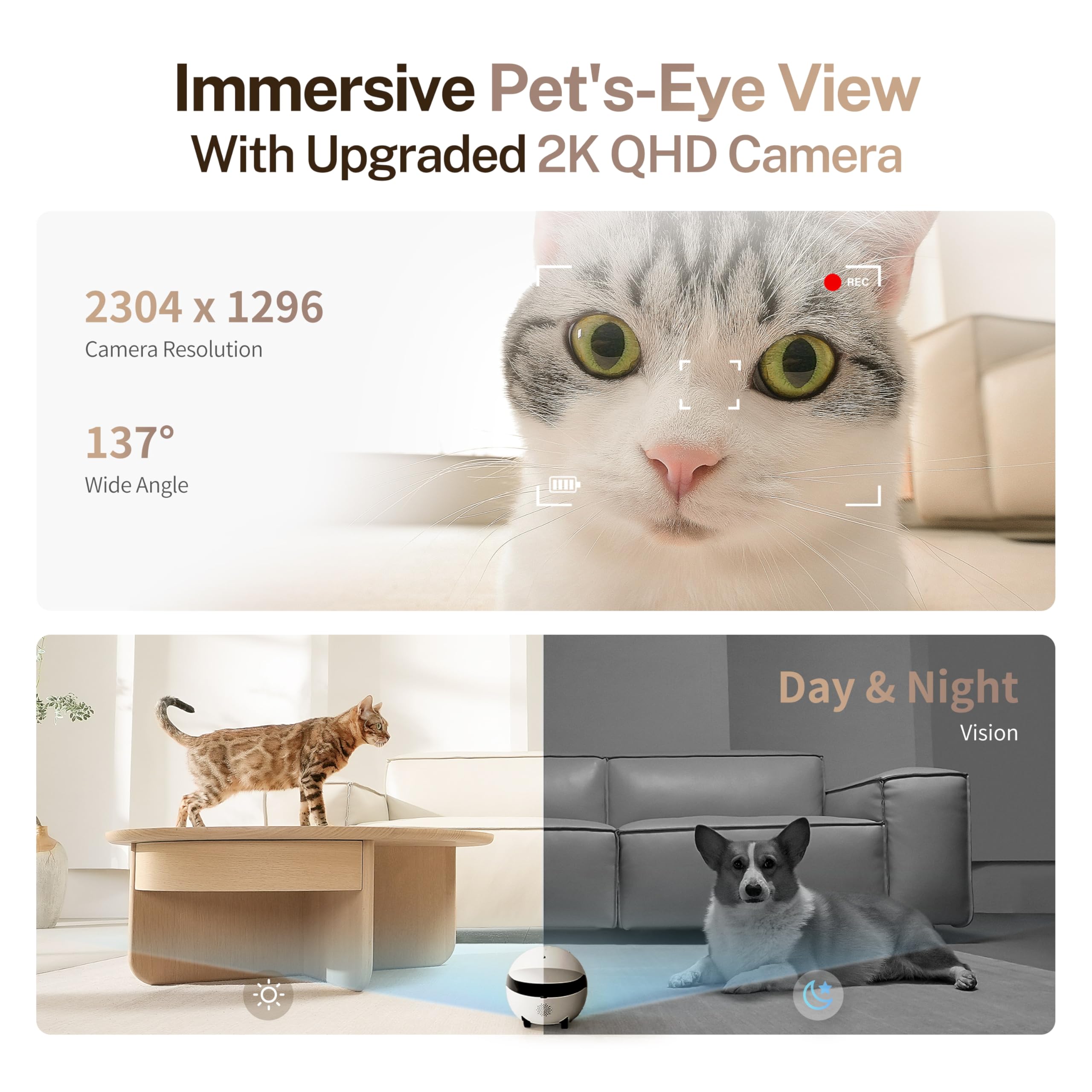 Enabot EBO ROLA Mini 2K Camera Robot: Movable Pet Camera Battery-Powered with Phone App, Indoor Cam w/One-Touch Call, 2-Way Talk