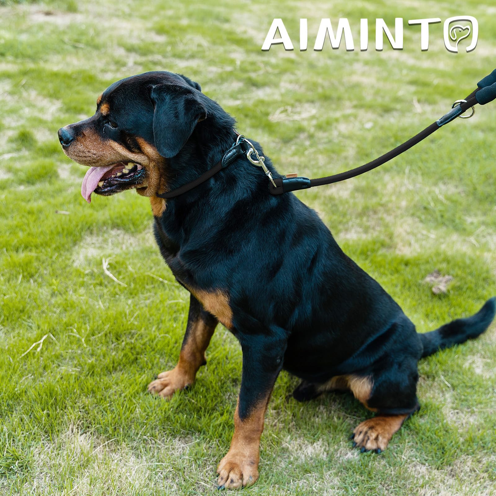 Aiminto Dog Leash, Braided Rope Traction - Walking Training Lead for Small Dogs ((1/3 '') x 6FT, Black)