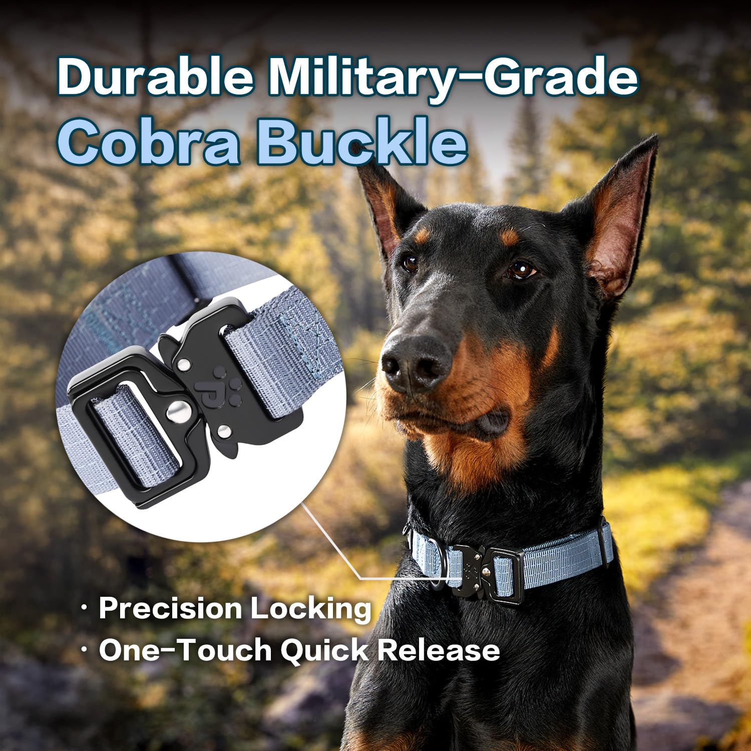 Pawspassion Heavy Duty Dog Collar For Large Dogs, Chew Proof Metal Hardware, Reinforced Nylon Dog Collar With Metal Quick-Releas