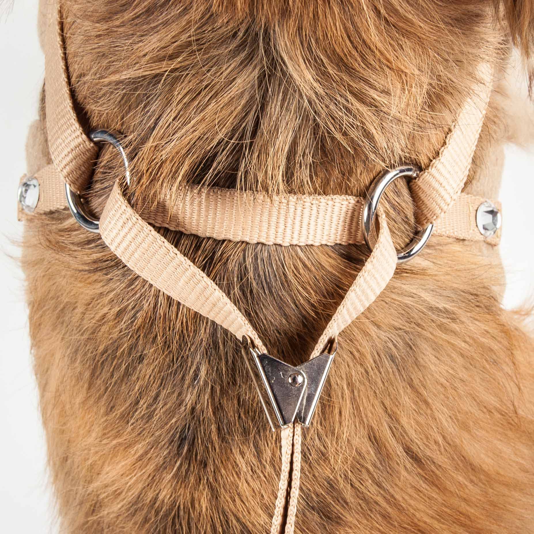 Pet Life ® Luxe Collection Furracious 2-in-1 Adjustable Fashion Dog Harness and Leash with Removable Fur Dog Collar - Designer Pet Harness is Reversed with Comfortable Mesh