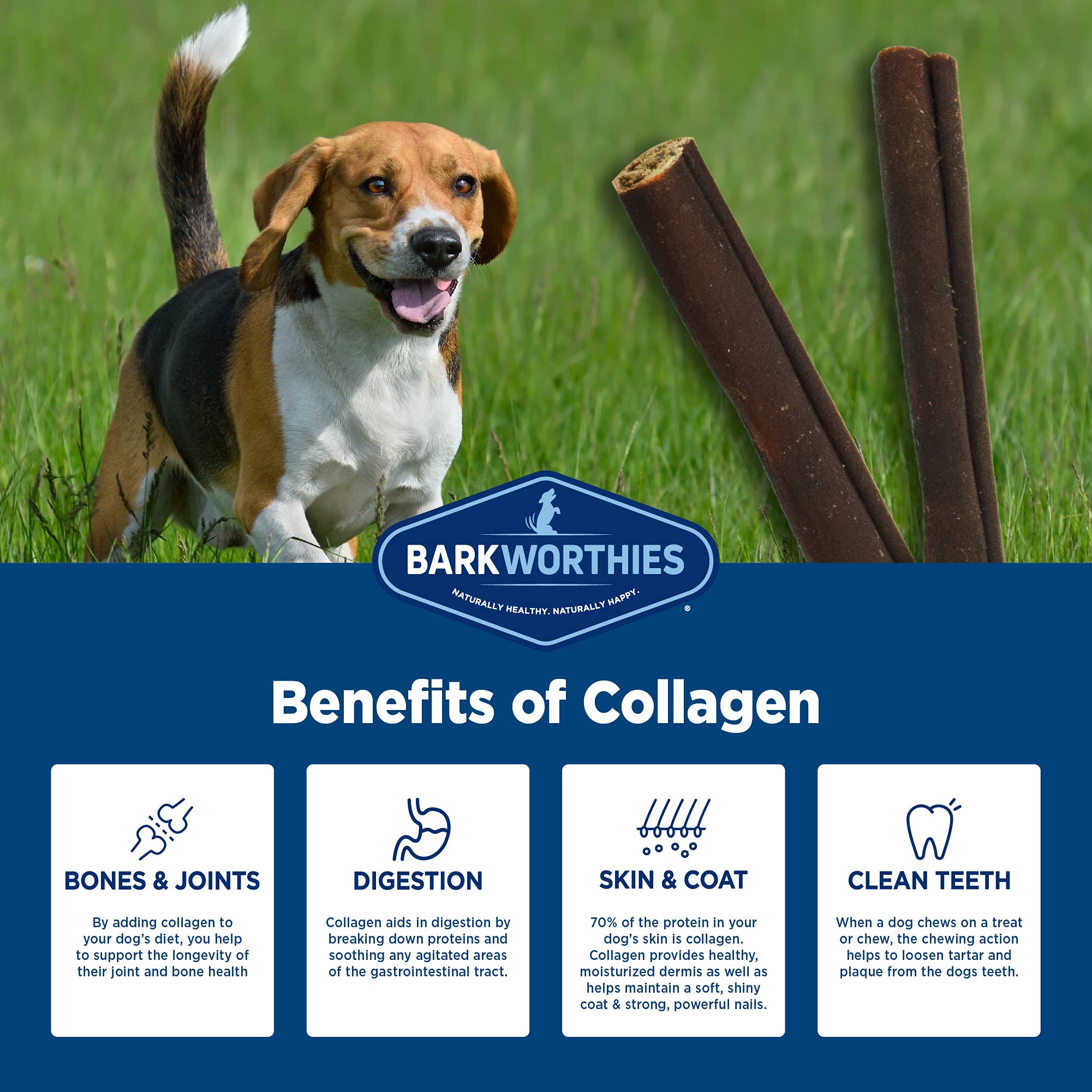 Barkworthies Collagen Sticks (6-Inch, 3-Count) - Great Tasting, Highly Digestible, Single Ingredient, Dog Chew