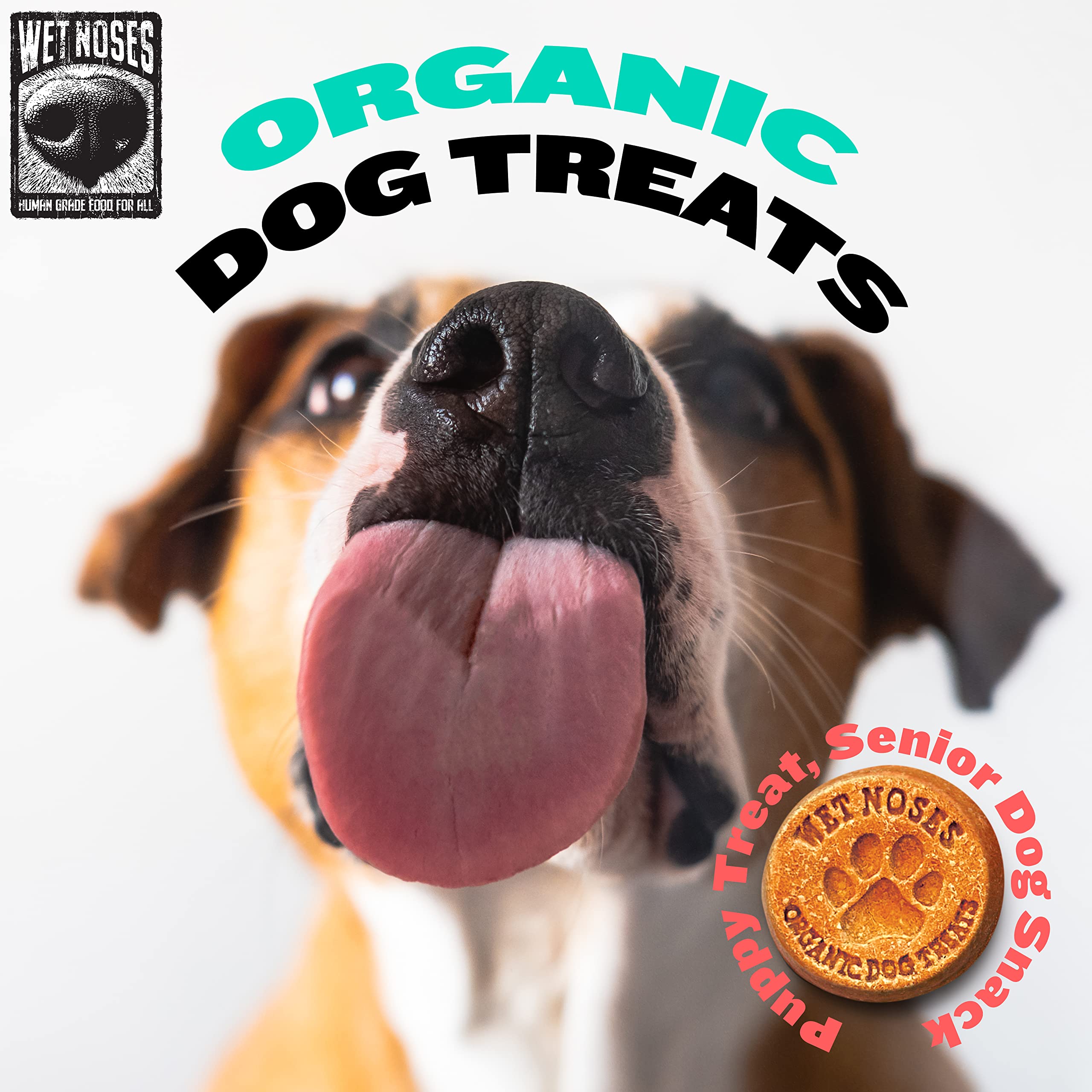 Wet Noses Grain Free Peanut Butter Banana Dog Treats 14 oz.