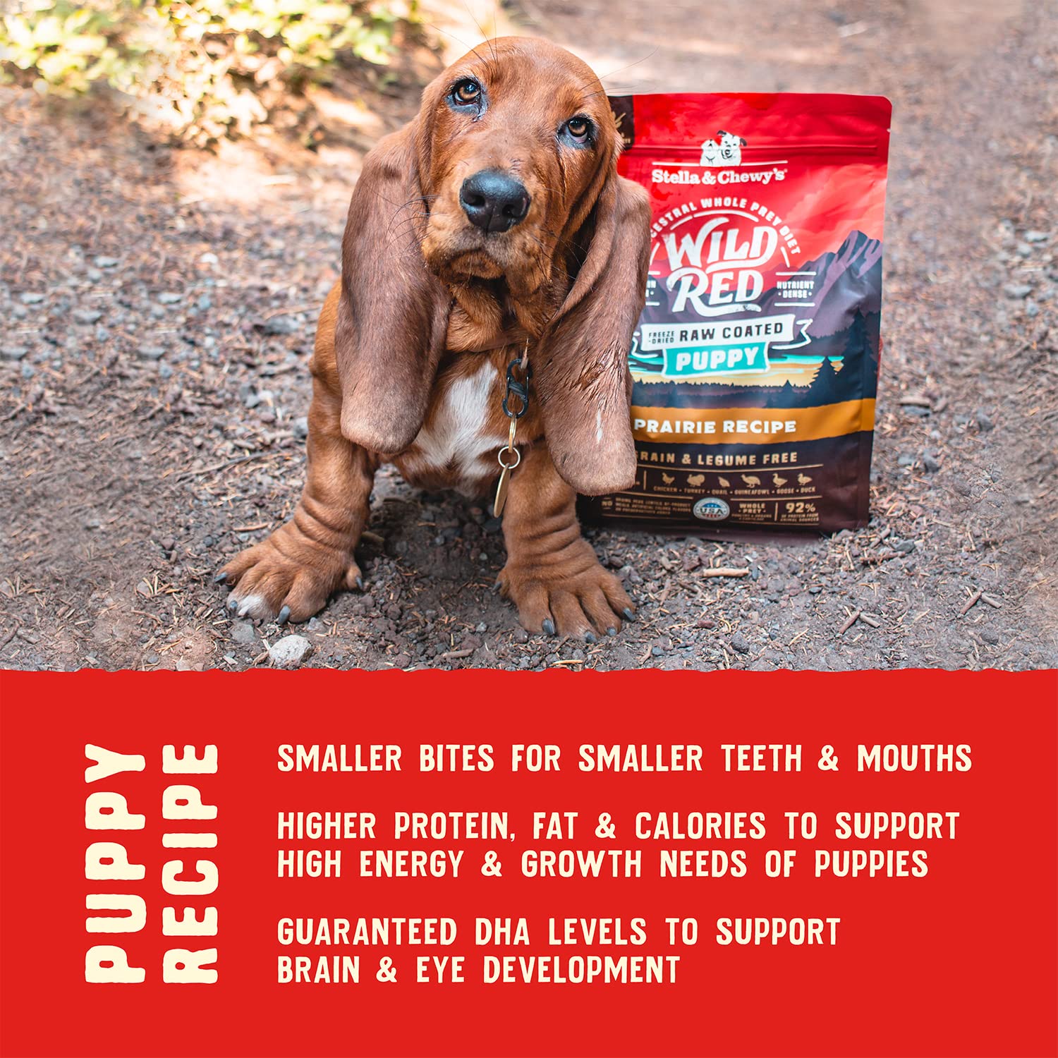 Stella & Chewys Wild Red Dry Dog Food Raw Coated High Protein Grain & Legume Free Puppy Prairie Recipe, 21 lb. Bag