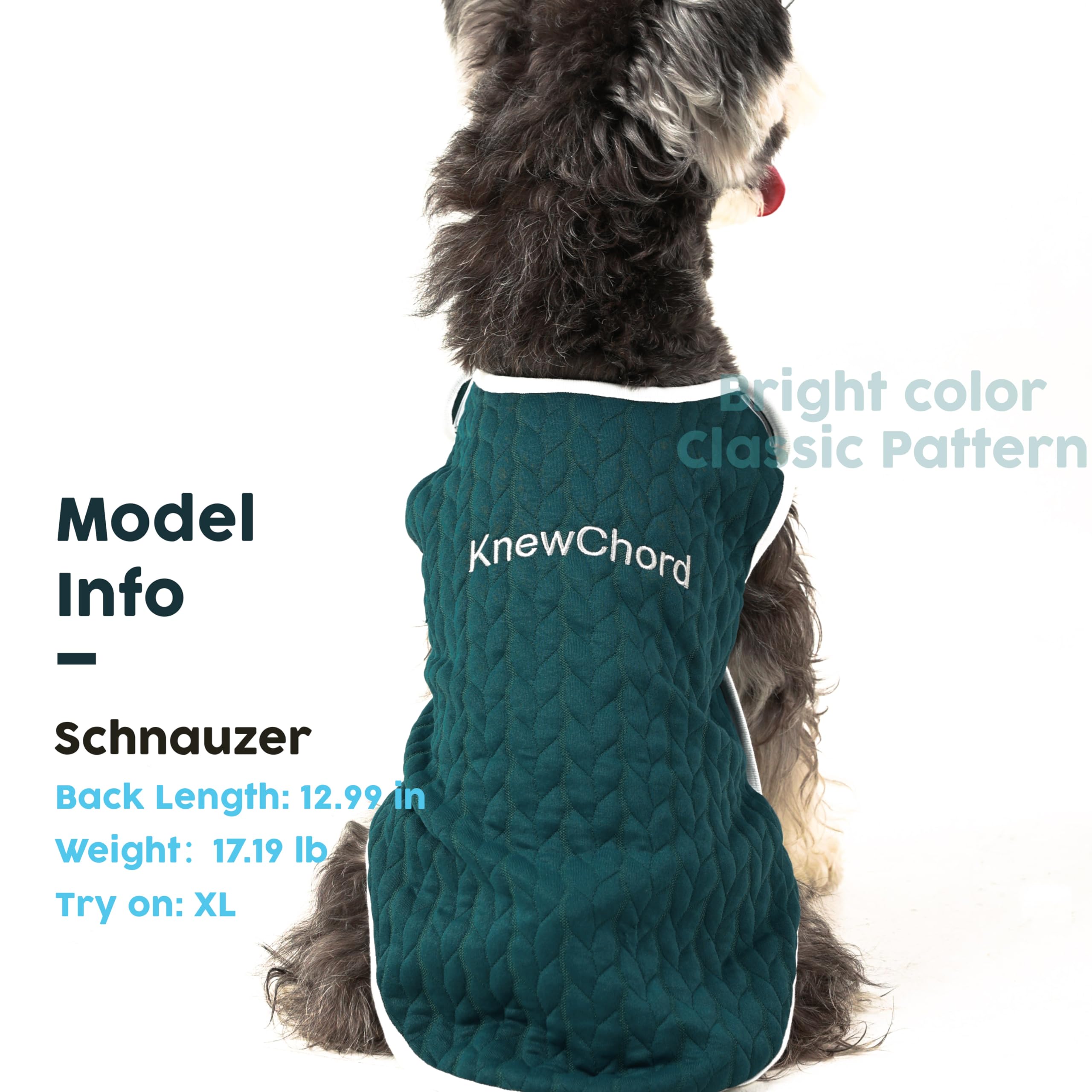 Knewchord Dog Shirts Soft Warm Cat Shirts Pet T-Shirt Puppy Dog Apparel Tee Tanks Easy On And Off (Dark Green, X-Large)