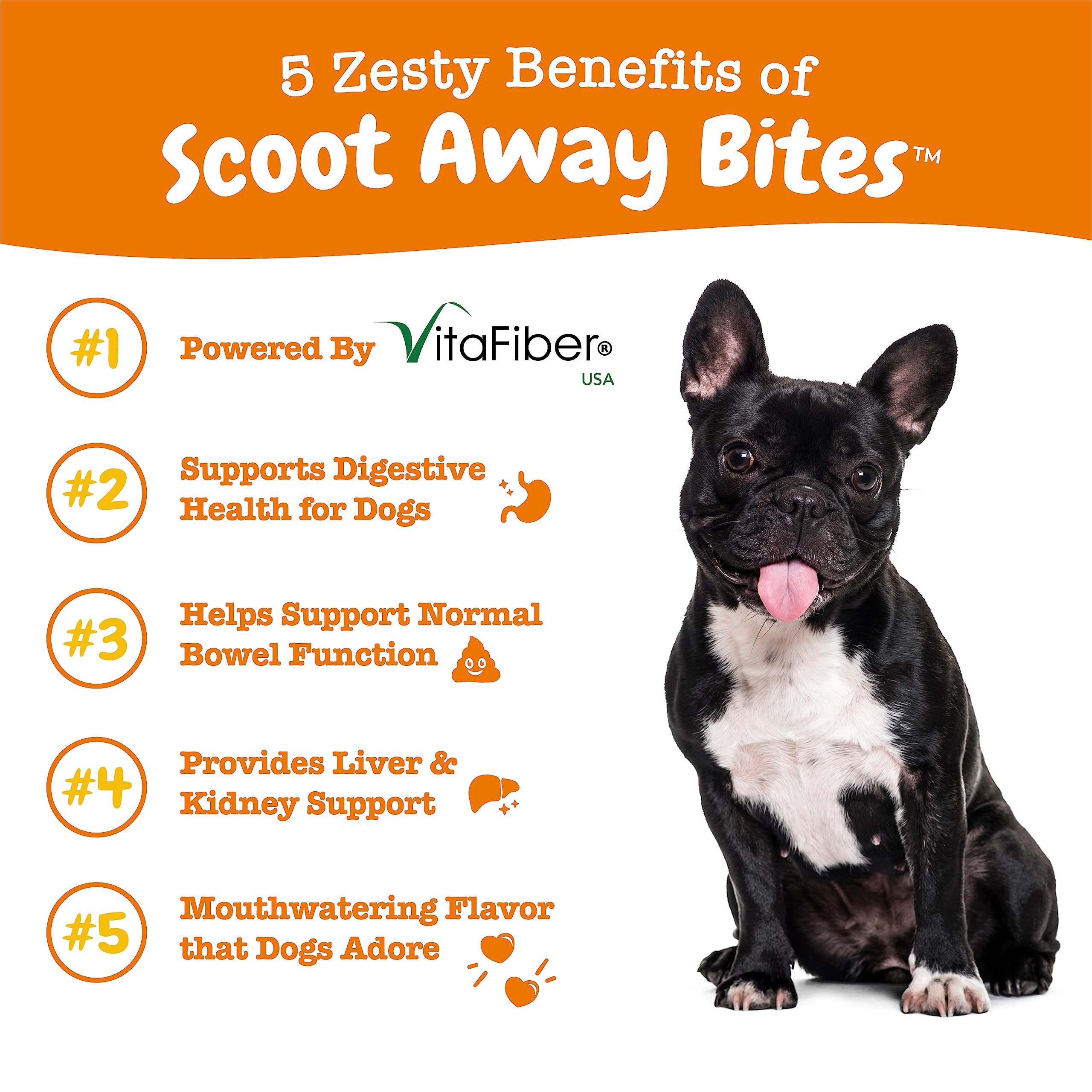 Zesty Paws Scoot Away Soft Chews - Healthy Bowel Function with Bromelain, Vita Fiber for Dogs, & Dandelion Root for Dog Digestiv