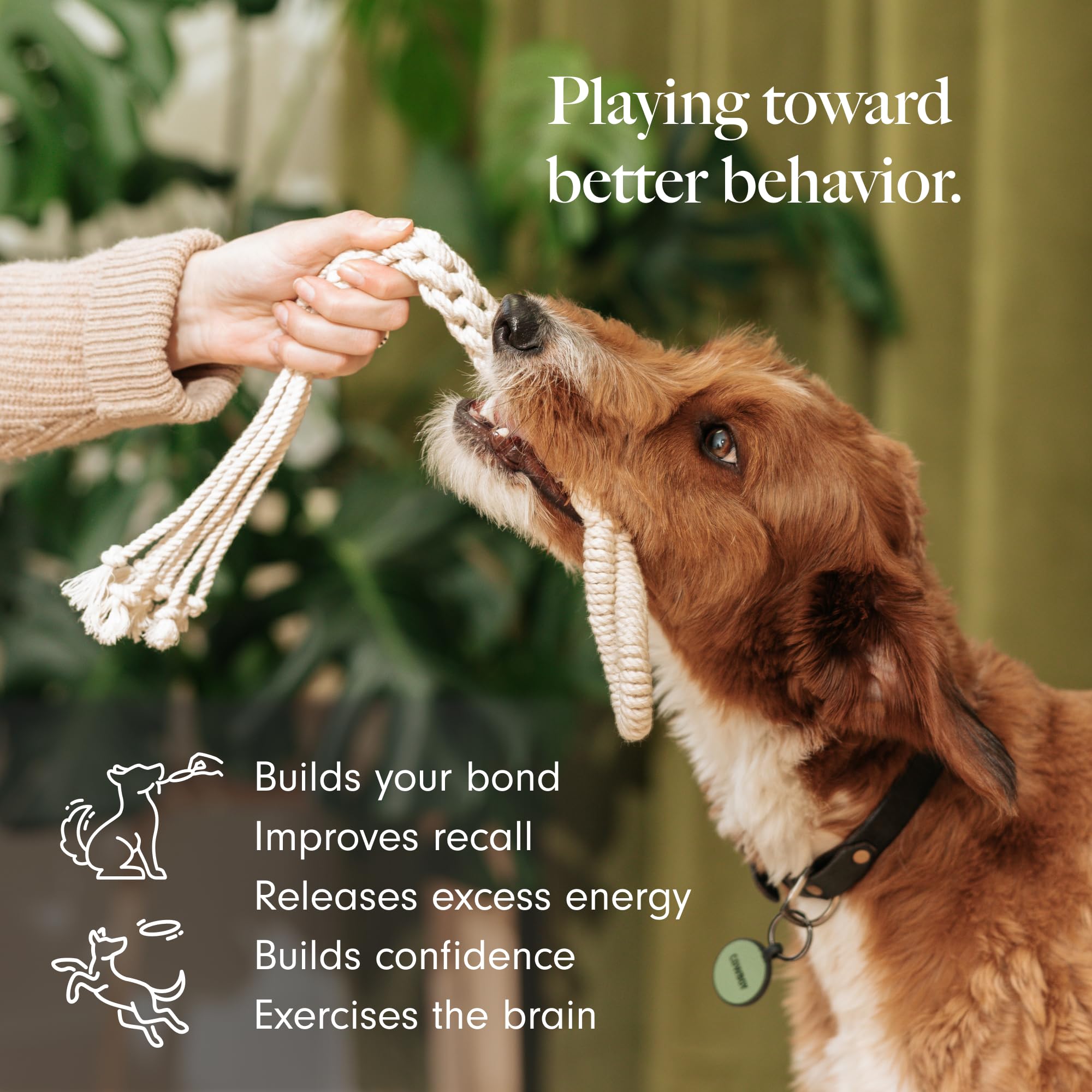 LAY LO Natural, Non-Toxic Cotton Rope Toys for Small and Medium Dogs | 2-Pack | Includes Live Support with Dog Trainer | Durable