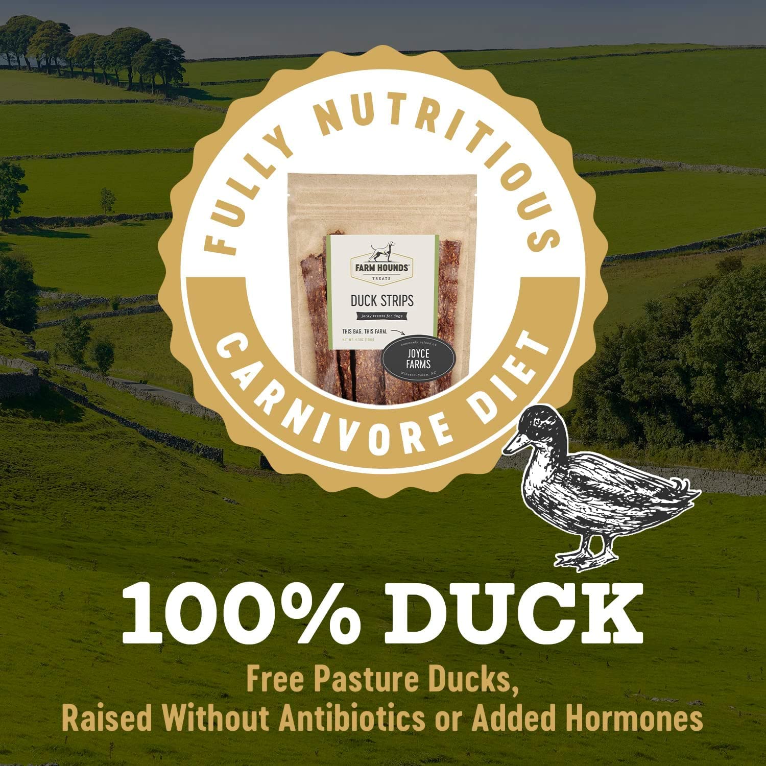 Farm Hounds - Duck Strips - Premium Natural Jerky for Dogs - Made from 100% Humanely Raised Duck - Great for Training & Treats -