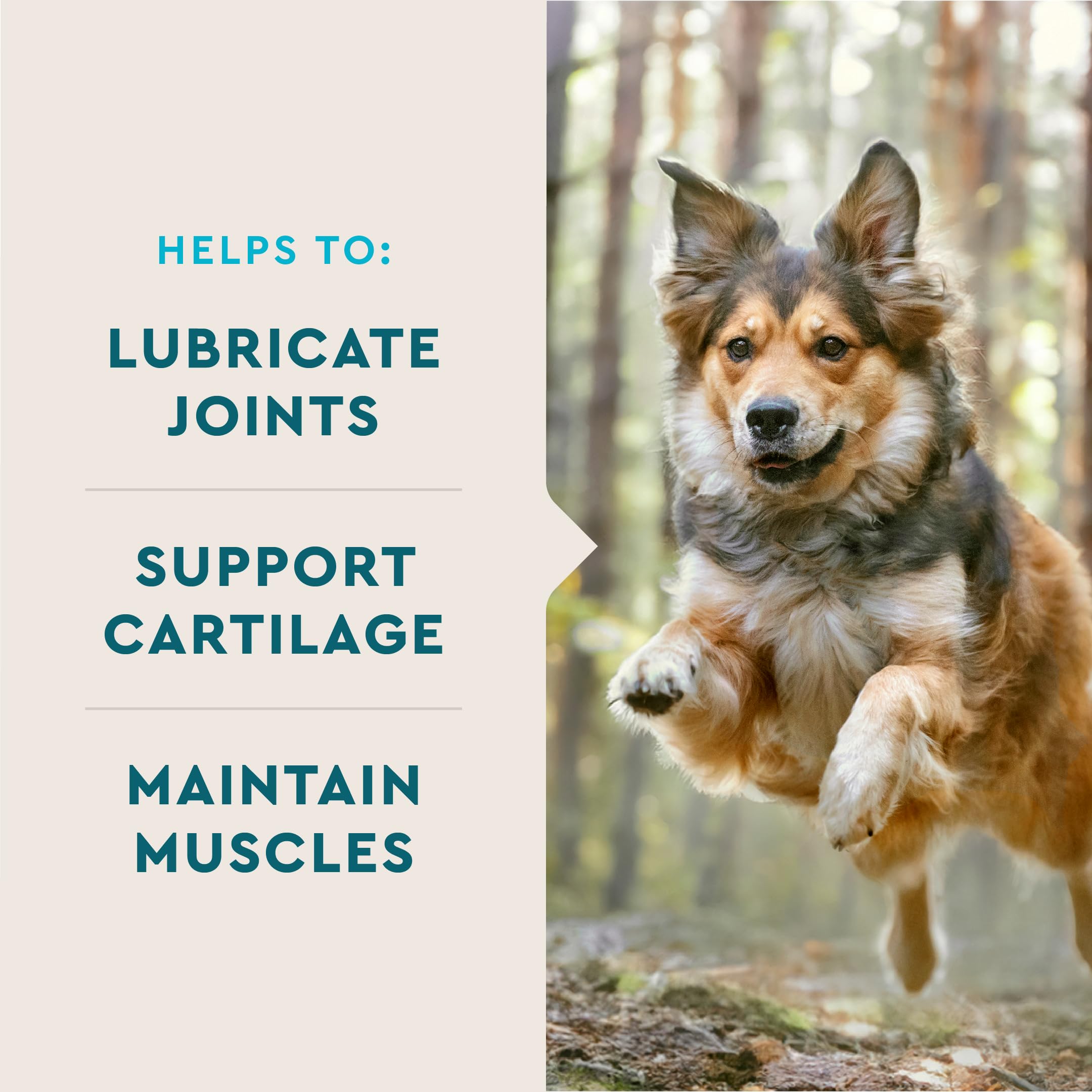 VetIQ Glucosamine Hip & Joint Supplement for Dogs, 180 Soft Chews, Dog Joint Support Supplement with MSM and Krill, Dog Health S