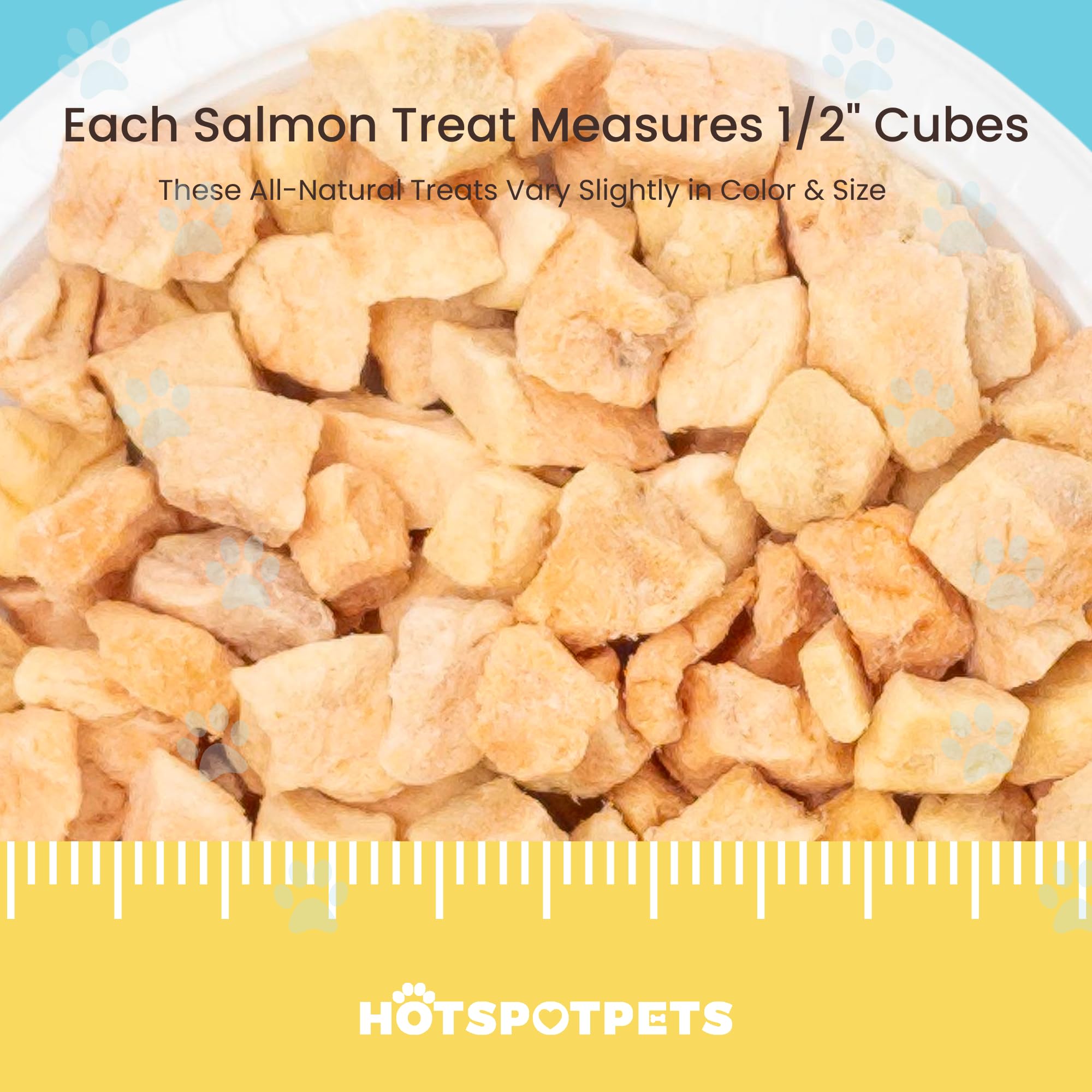 hotspot pets Freeze Dried Salmon Treats for Cats & Dogs -Made in USA-1LB Resealable Big Bag -Single Ingredient, High Protein, Al