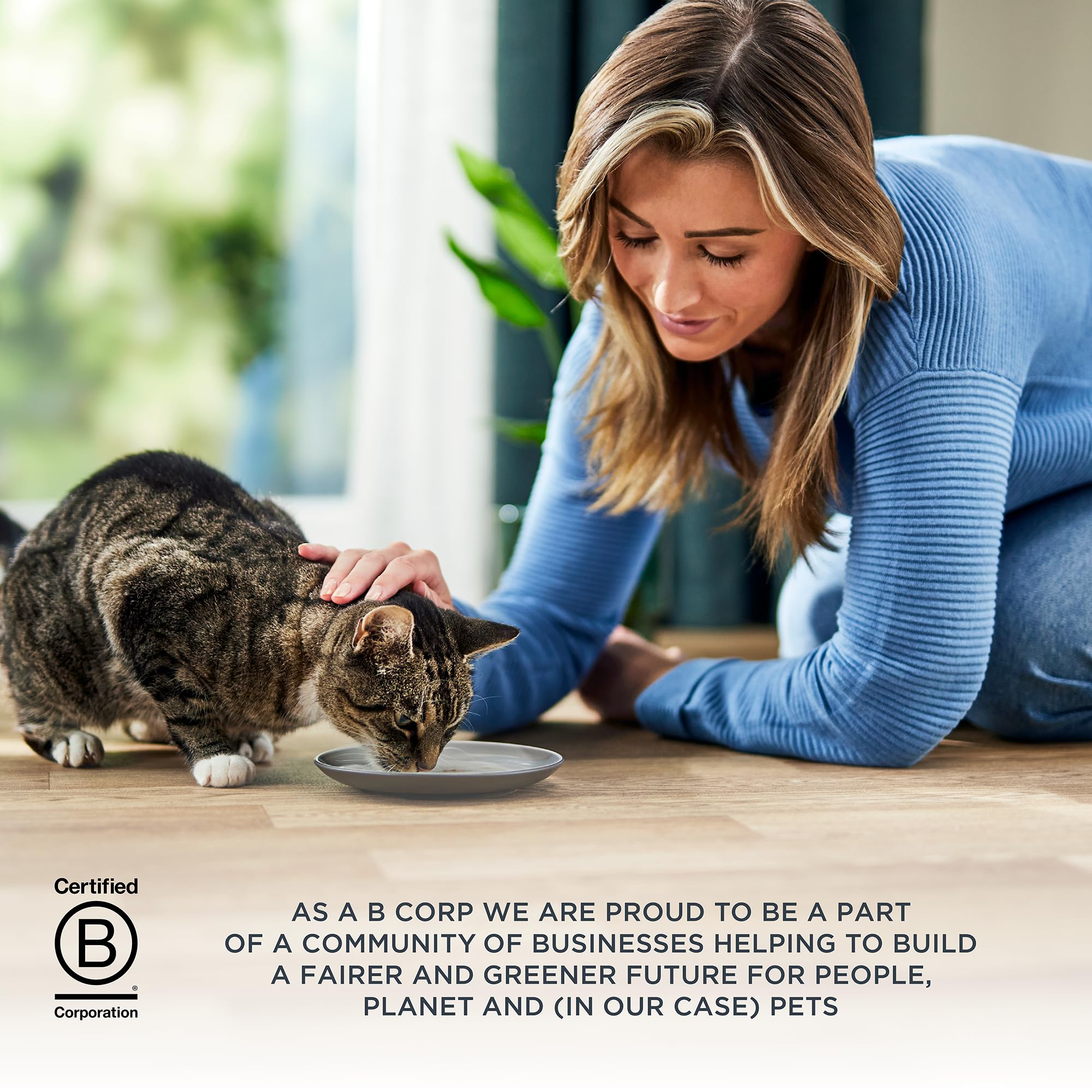 Reveal Entr  es Natural Wet Cat Food Pat  , Grain-Free with Added Vitamins & Minerals, Carrageenan-Free and High Protein, Chicke