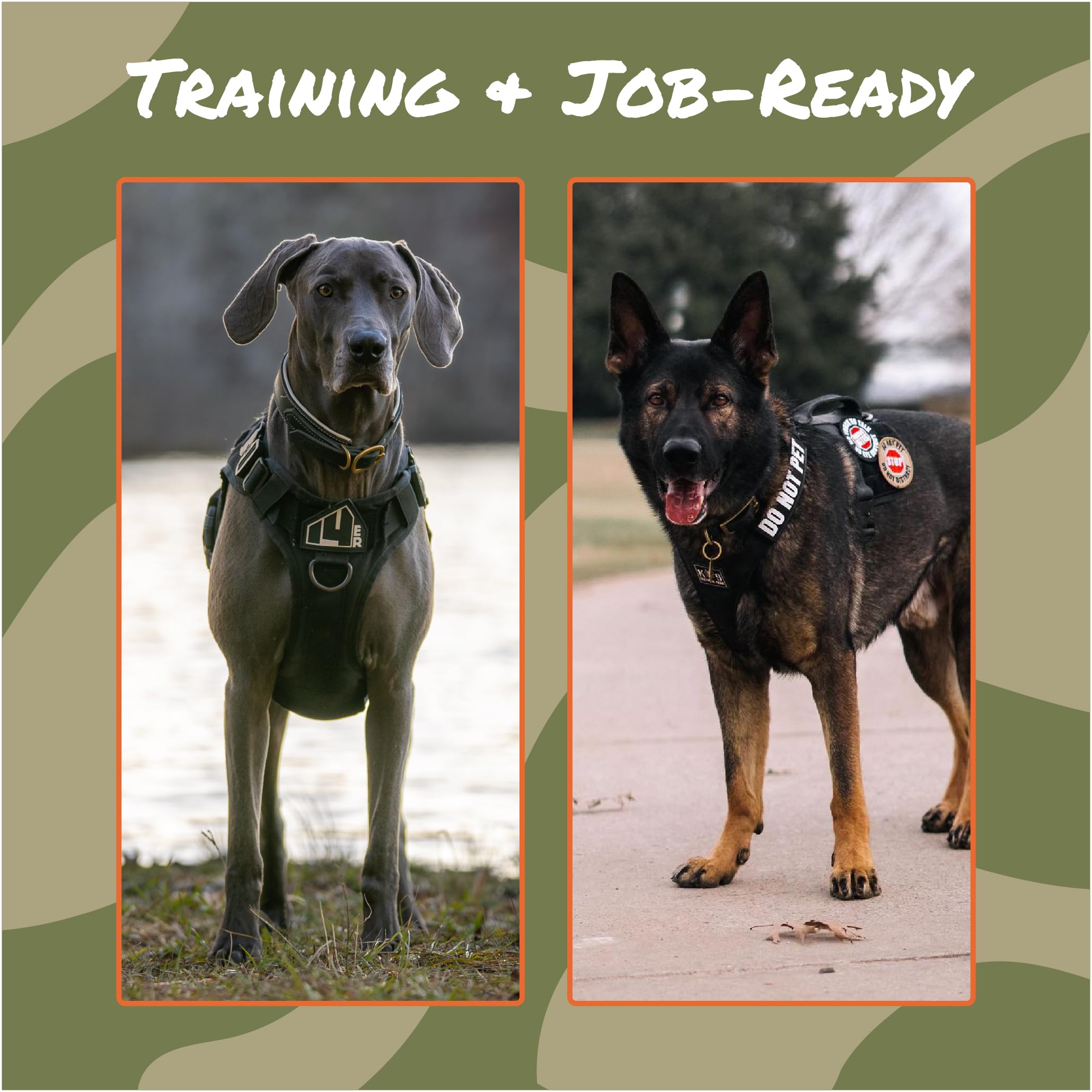 14Er Tactical Service Dog Patches | Ask To Pet Patch, Do Not Pet Patch, Service Dog In Training Patches | Service Dog Vest Patches, Dog Patches For Harness | Service Dog Patch Set (12-Pack)