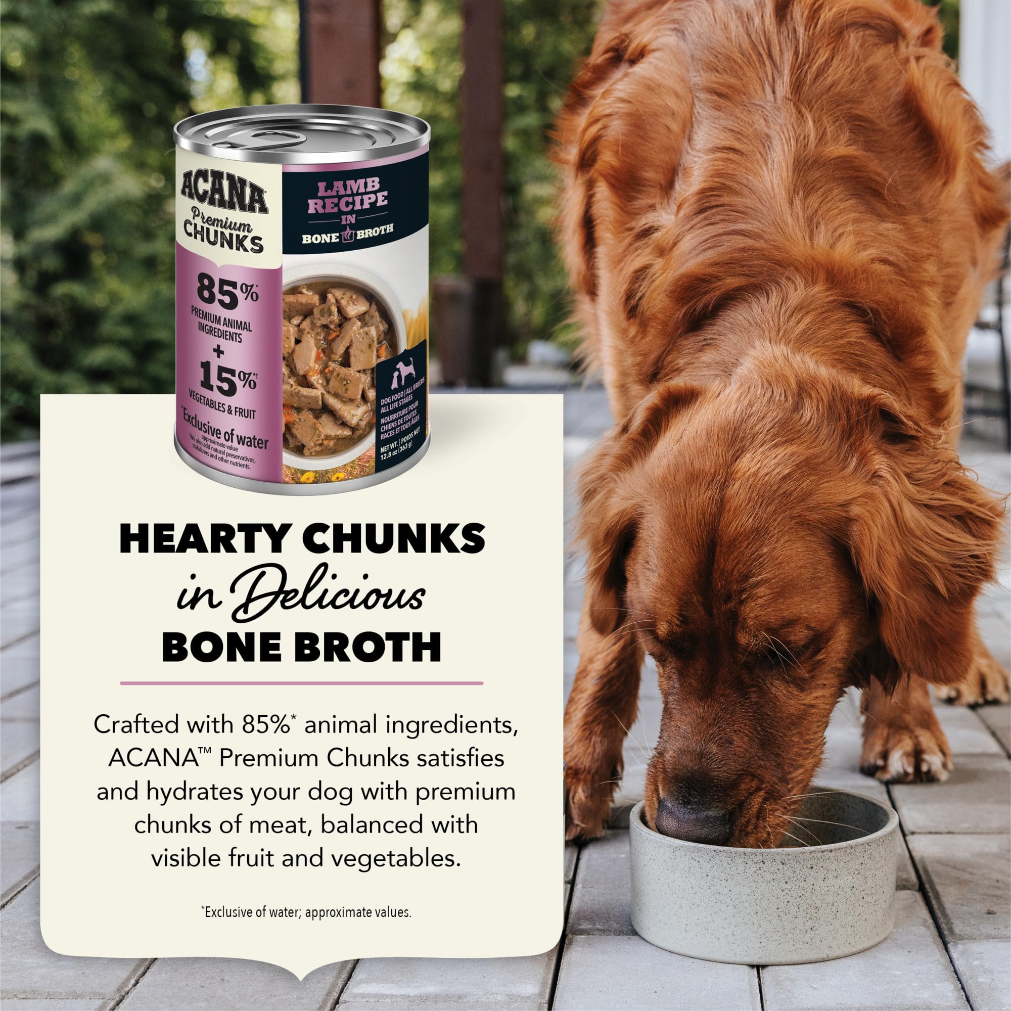 ACANA Premium Chunks in Bone Broth Grain-free Wet Dog Food Lamb Recipe 12.8oz Cans (12 Count)