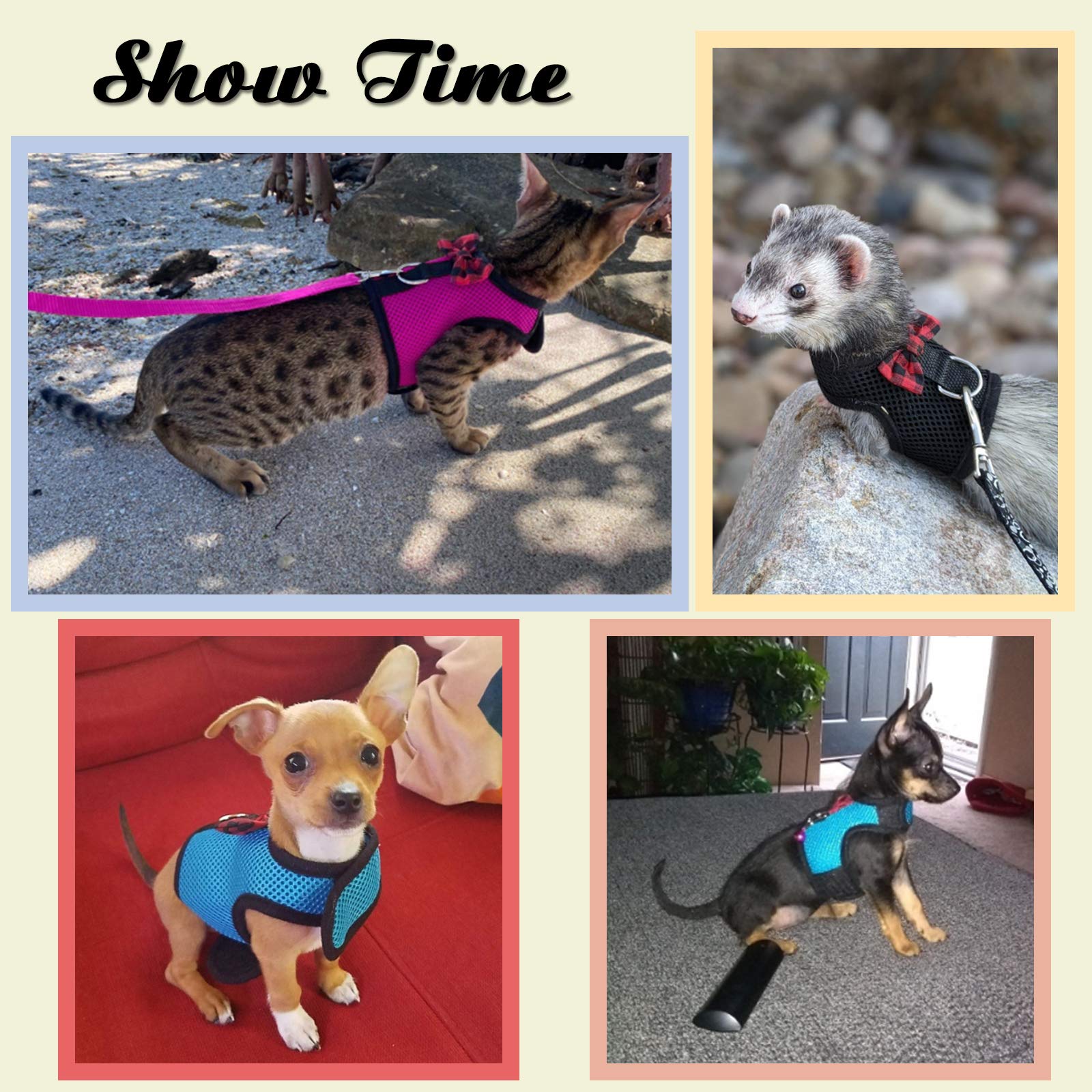 Rypet Small Animal Harness And Leash - Soft Mesh Small Pet Harness With Safe Bell, No Pull Comfort Padded Vest For Small Pet Pin