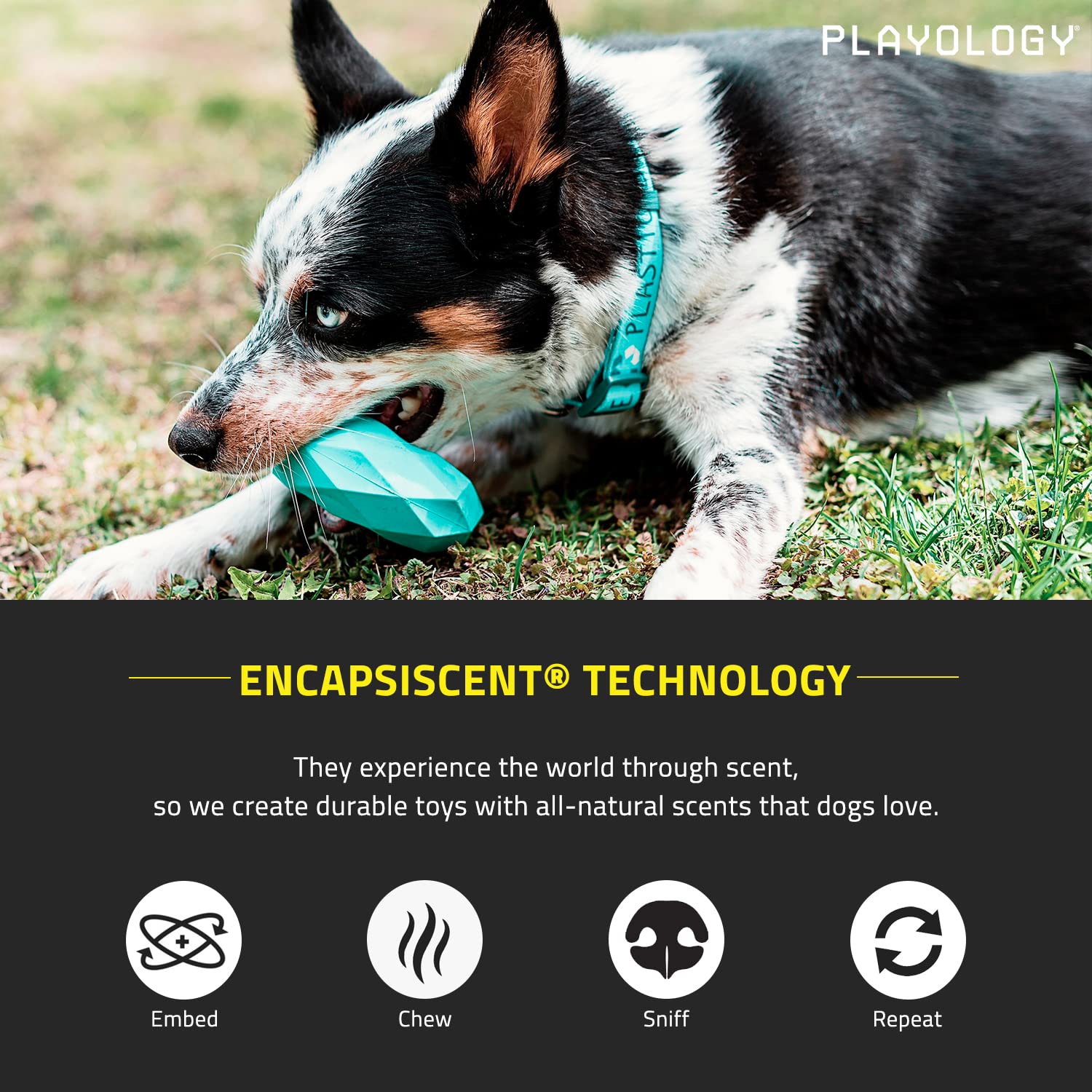 Playology Dual Layer Bone Toy - Engaging All Natural Cheddar Cheese Scented Dog Toy, Large - Chew, Toss, Fetch, And Play!