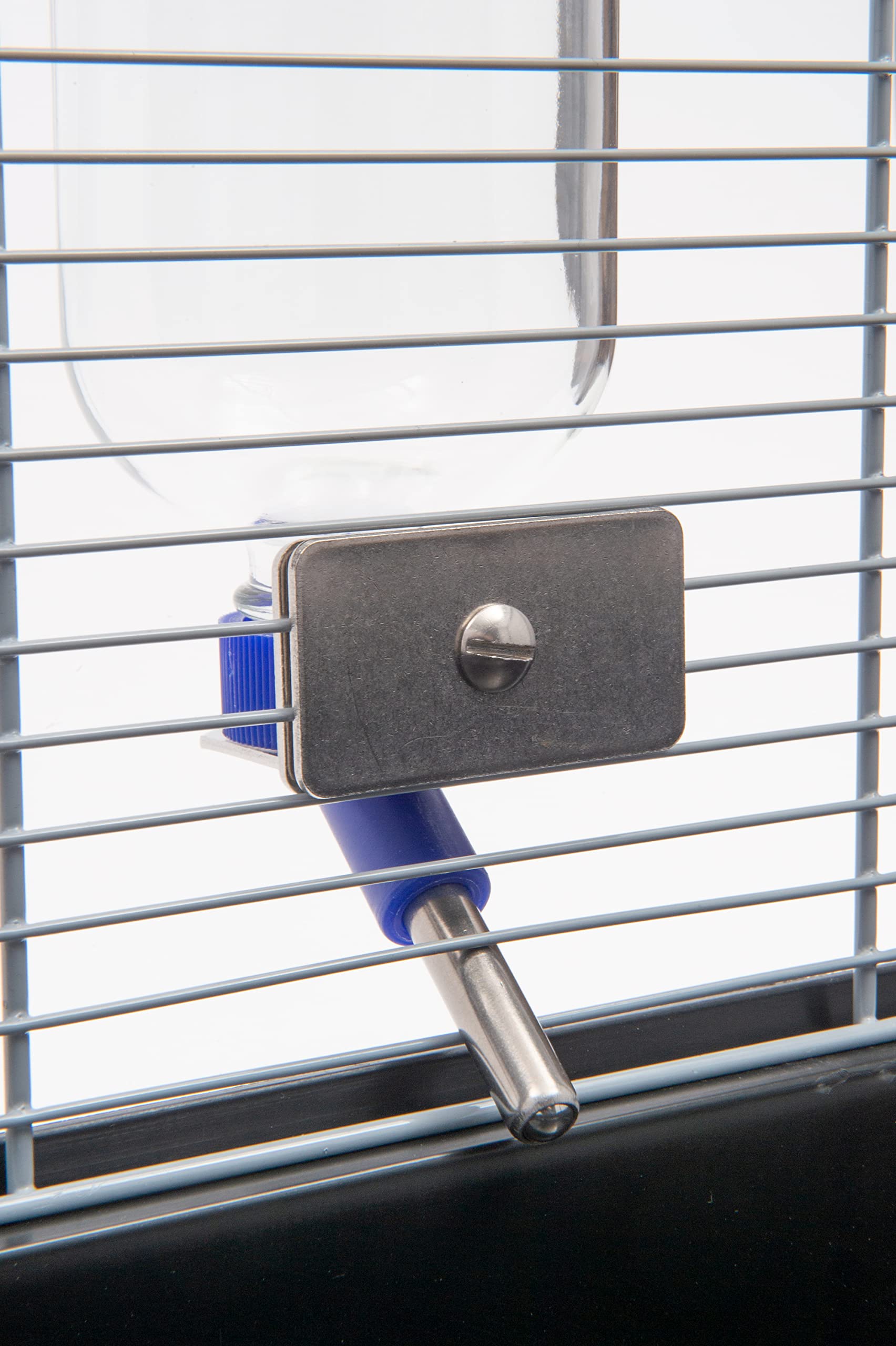 Lixit Glass Water Bottles for Rabbits, Ferrets, Small Birds, Guinea Pigs, Rats, Hamsters and Other Pets (16ozHD)