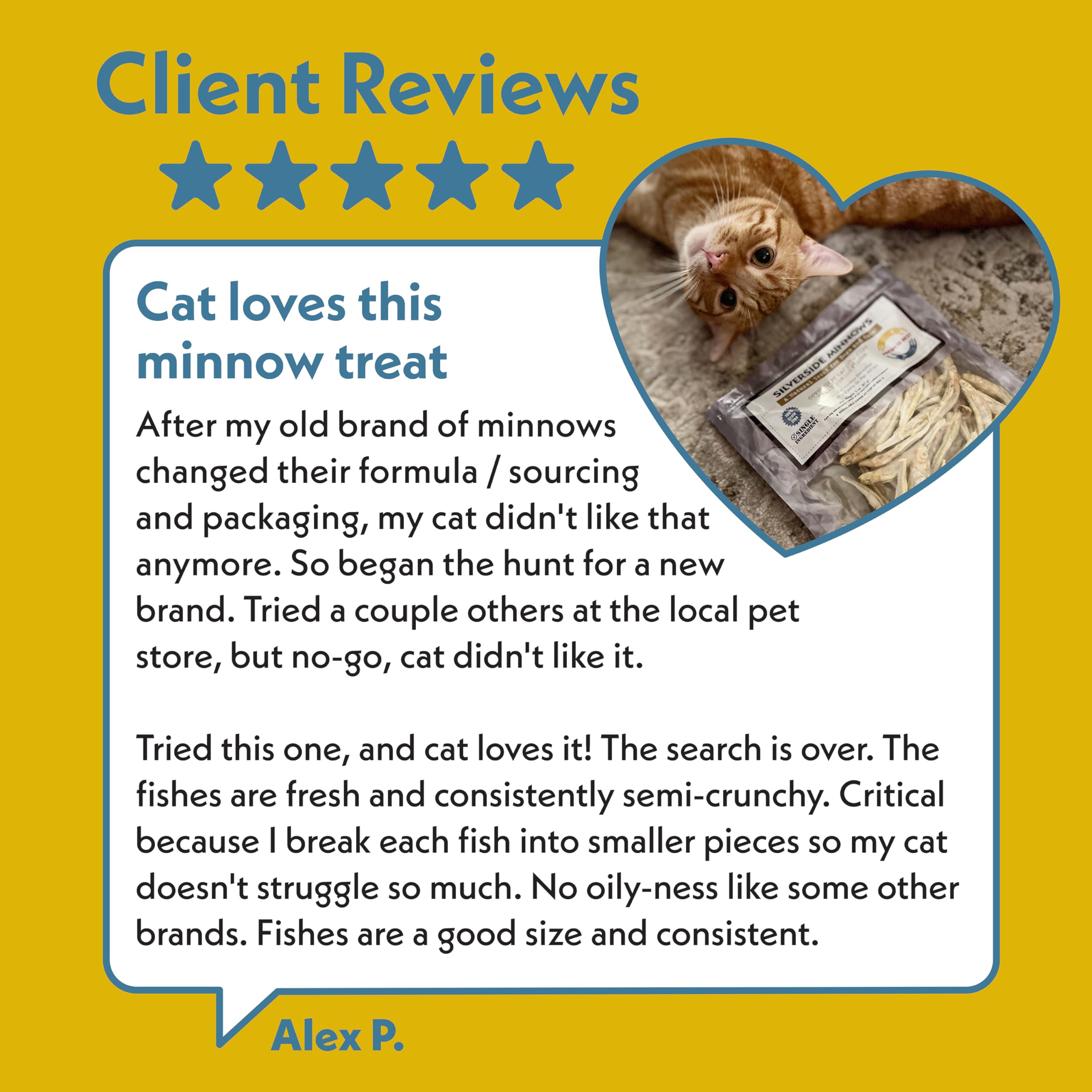 Fresh Is Best - Freeze Dried Healthy Raw Meat Treats for Dogs & Cats - Silverside Minnows
