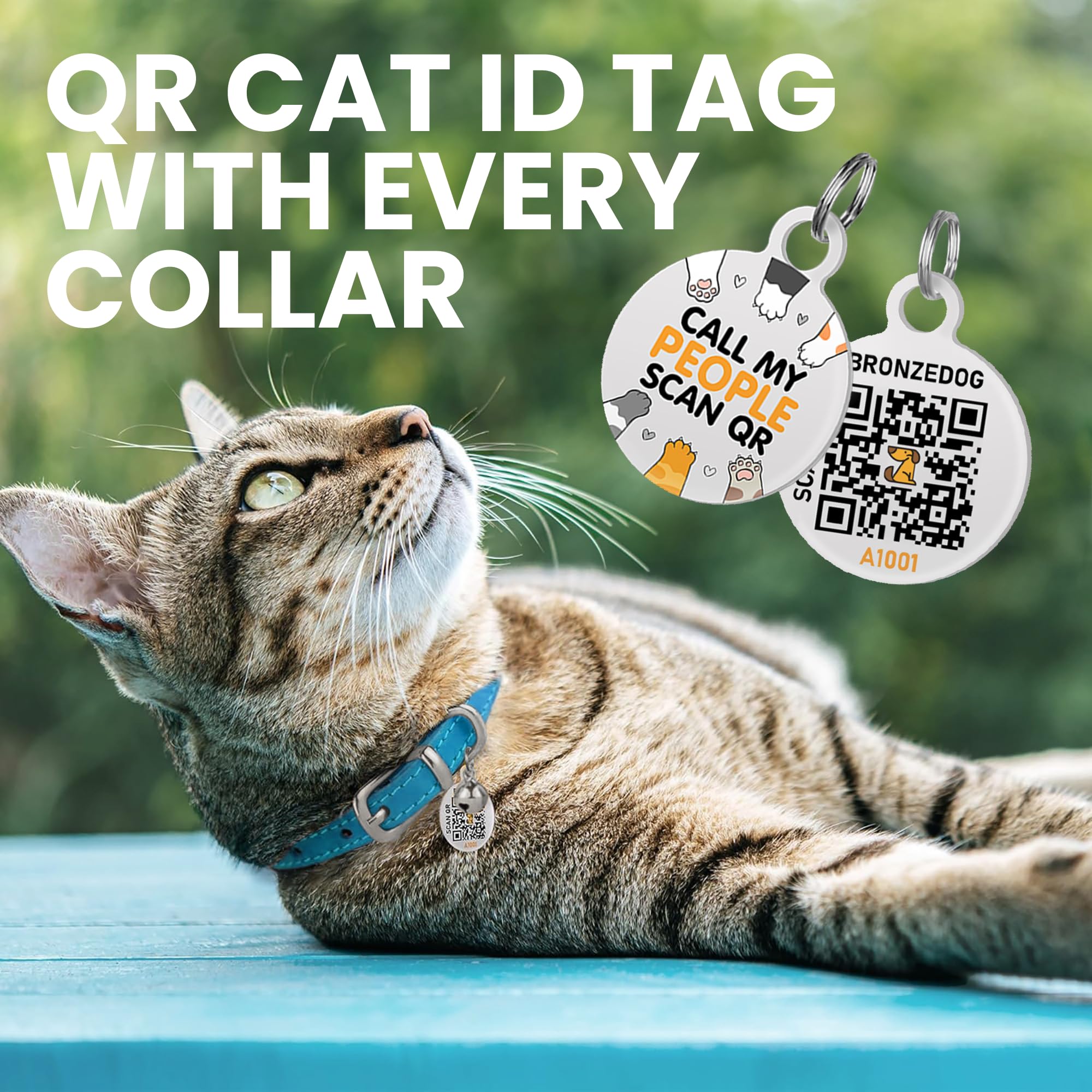 Bronzedog Leather Cat Collar With Removable Bells Non Breakaway Kitten Qr Tag For Girl Boy (7' - 9' For Cats, Blue & Silver)